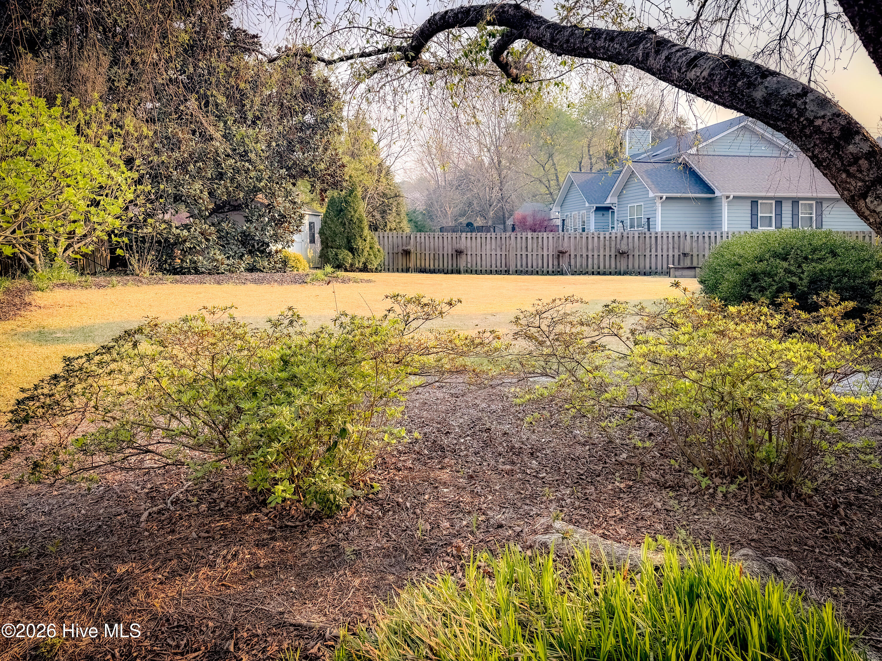 100565169 | Photo 25