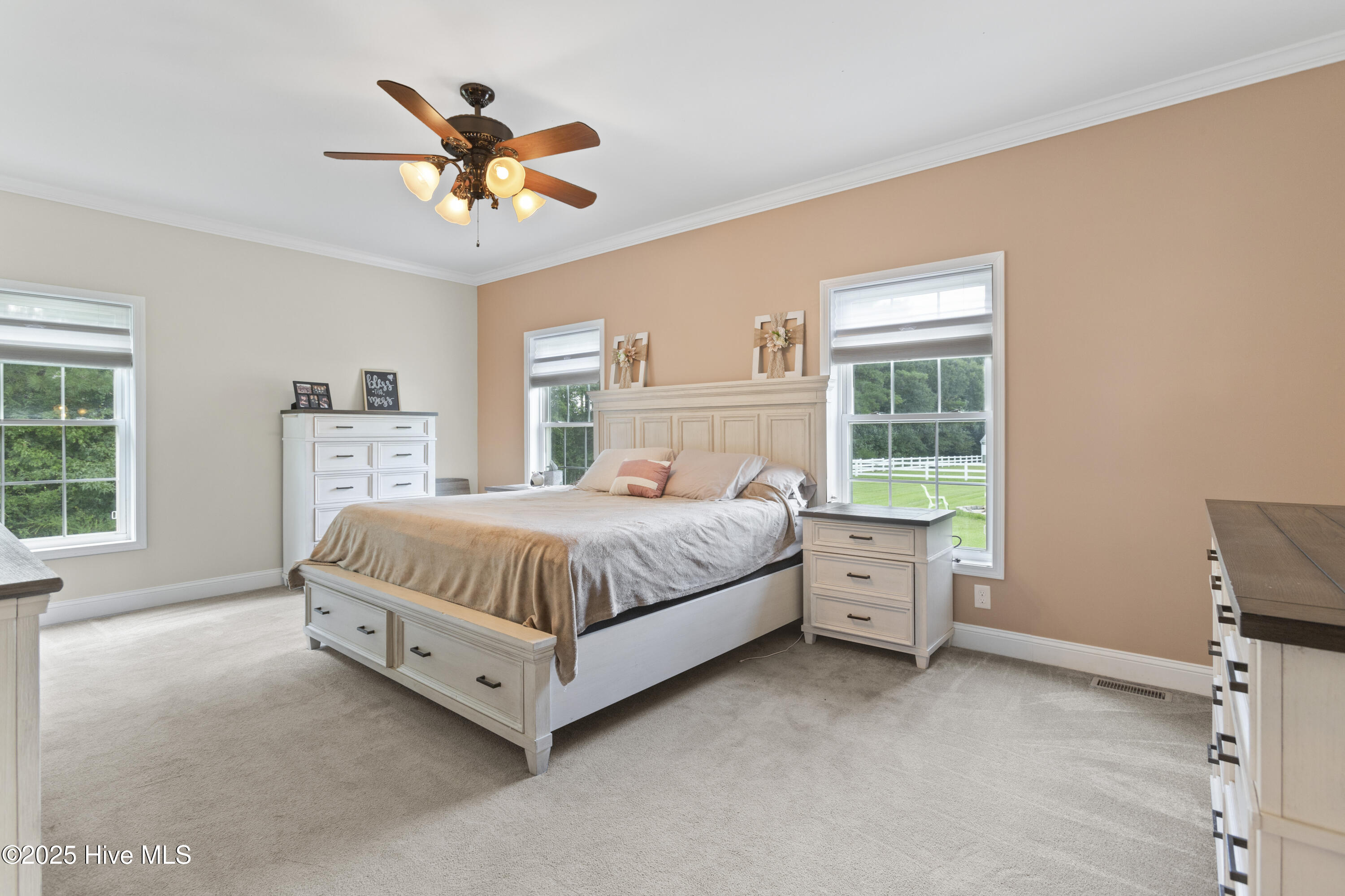 100540143 | Photo 16