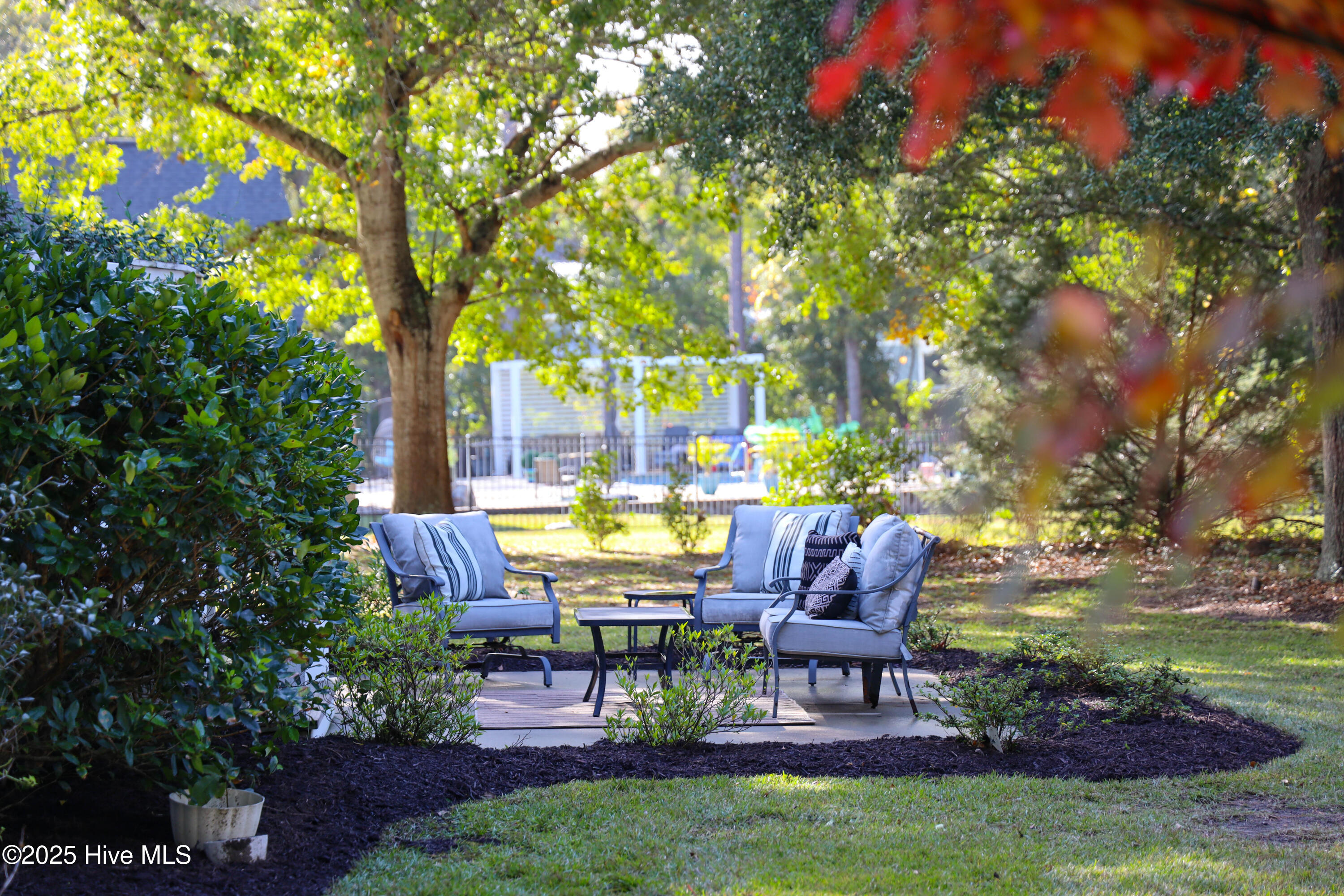 100556308 | Photo 106