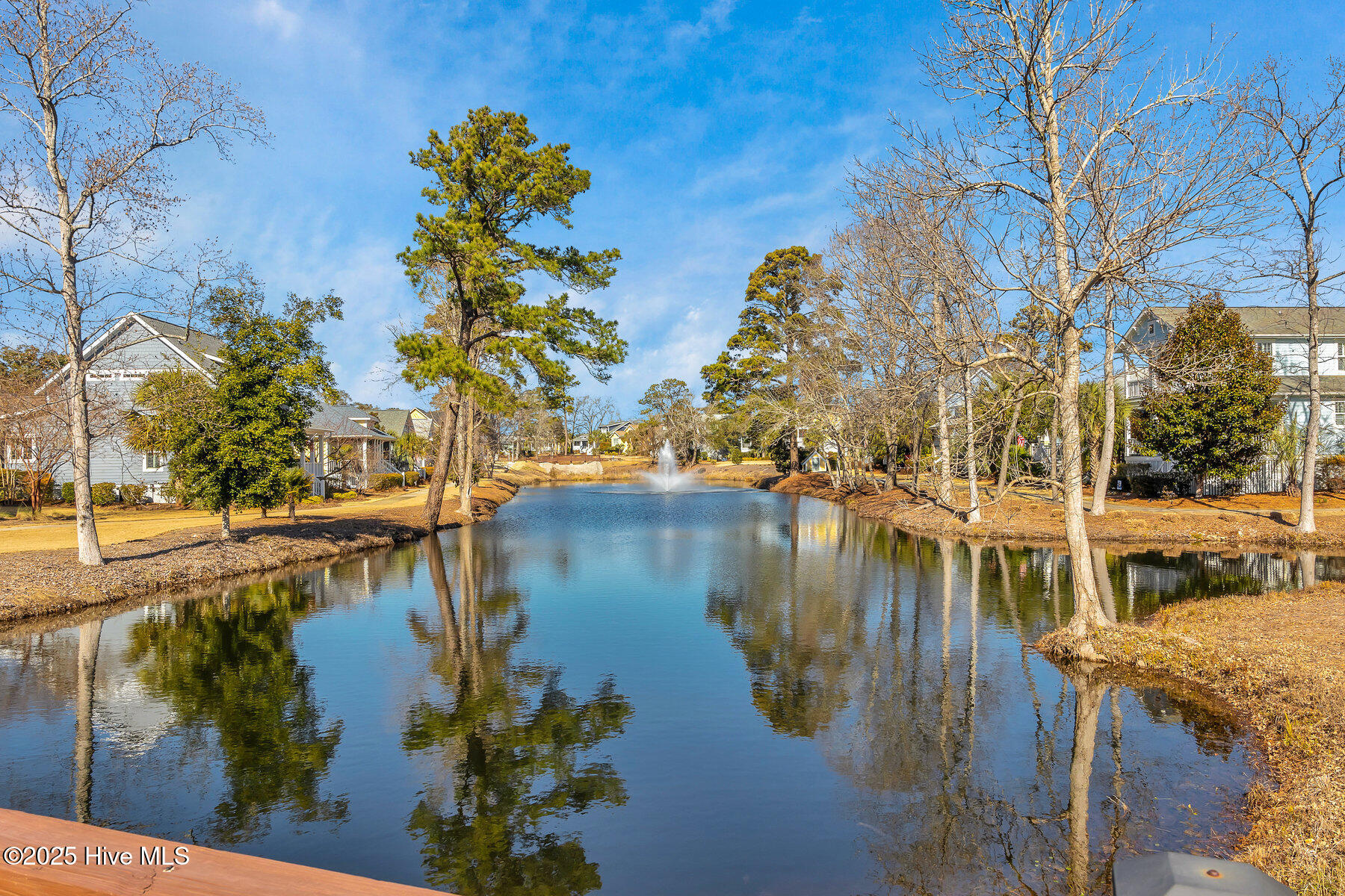 100544717 | Photo 49