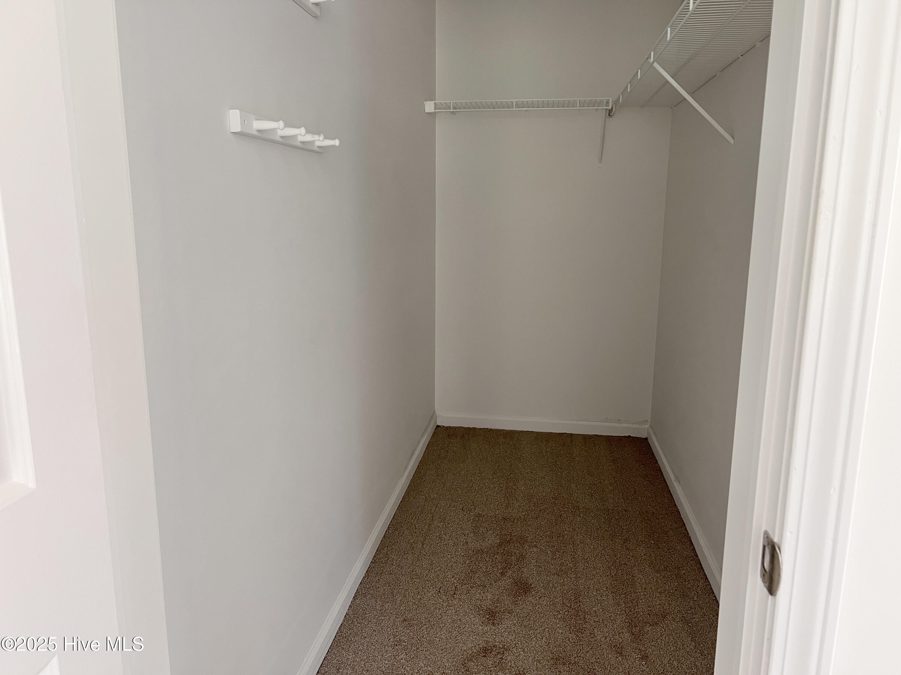 100535017 | Photo 10