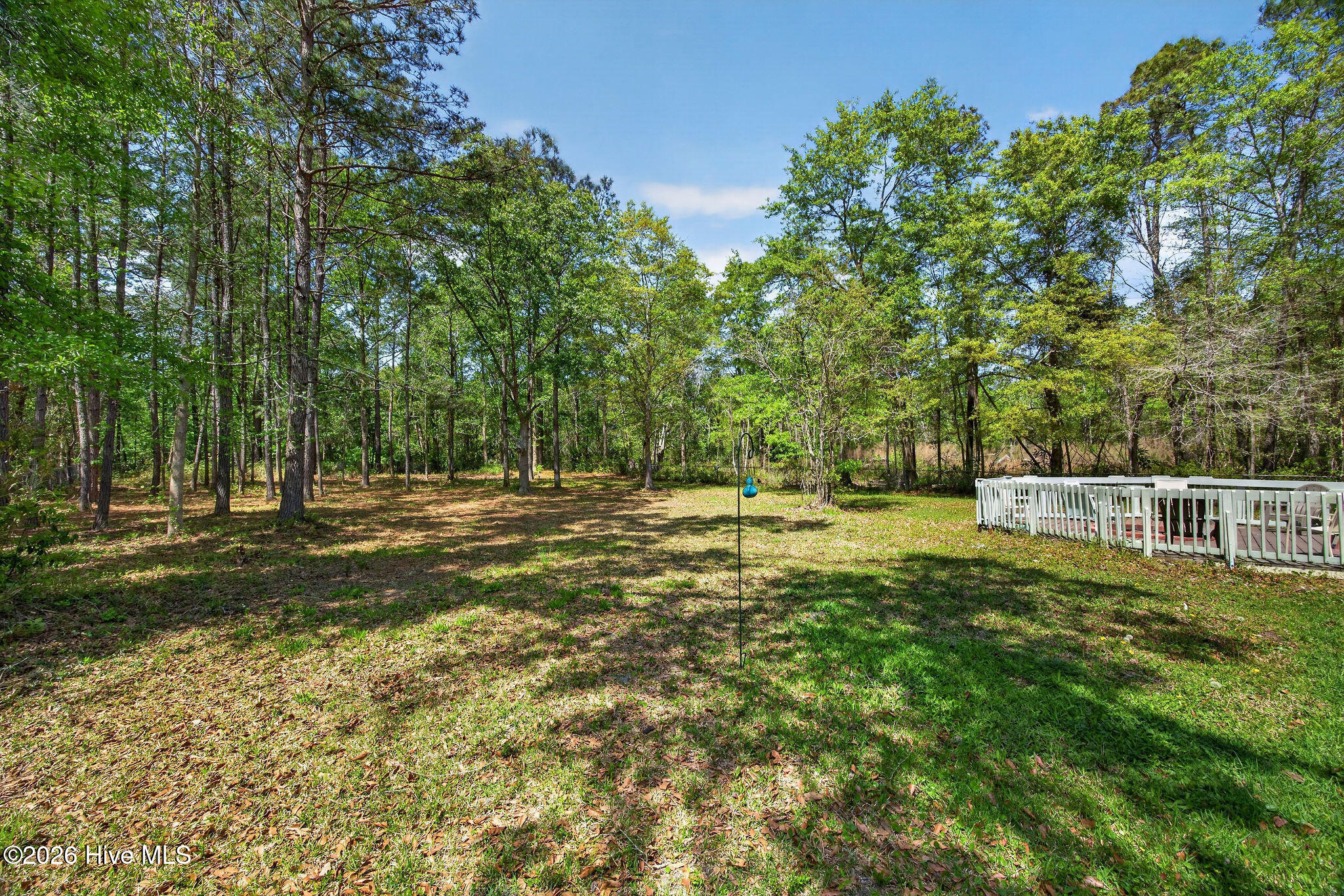 100566333 | Photo 42