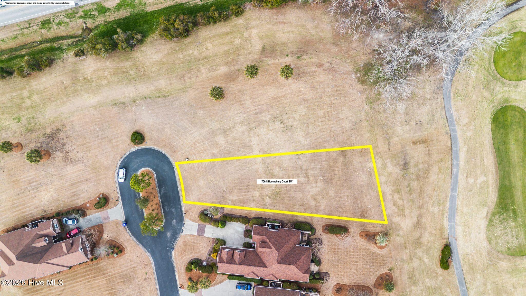 100555855 | Photo 15