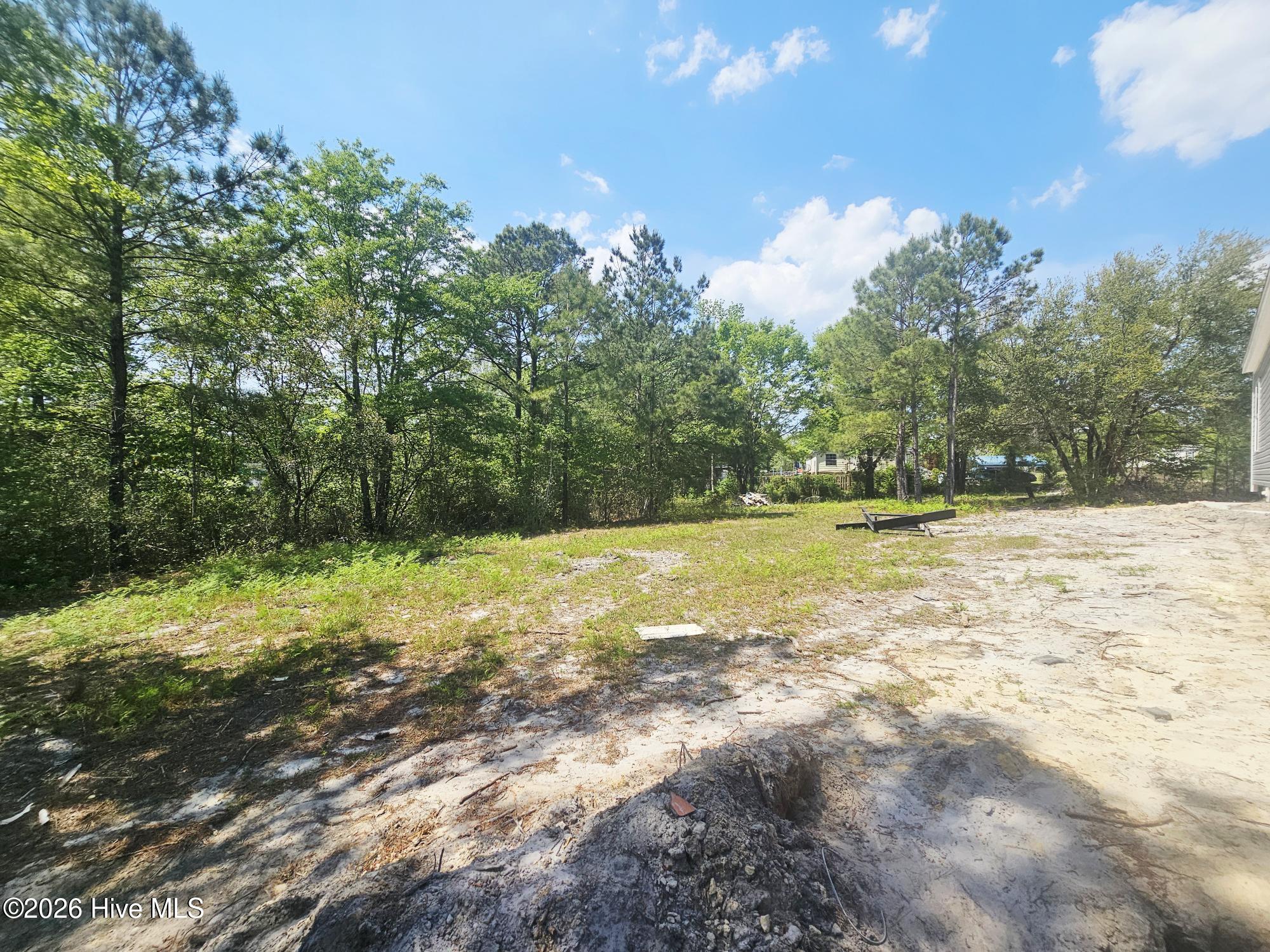 100565039 | Photo 20