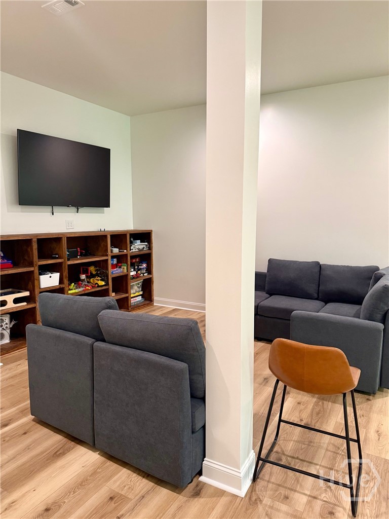Basement Living Room