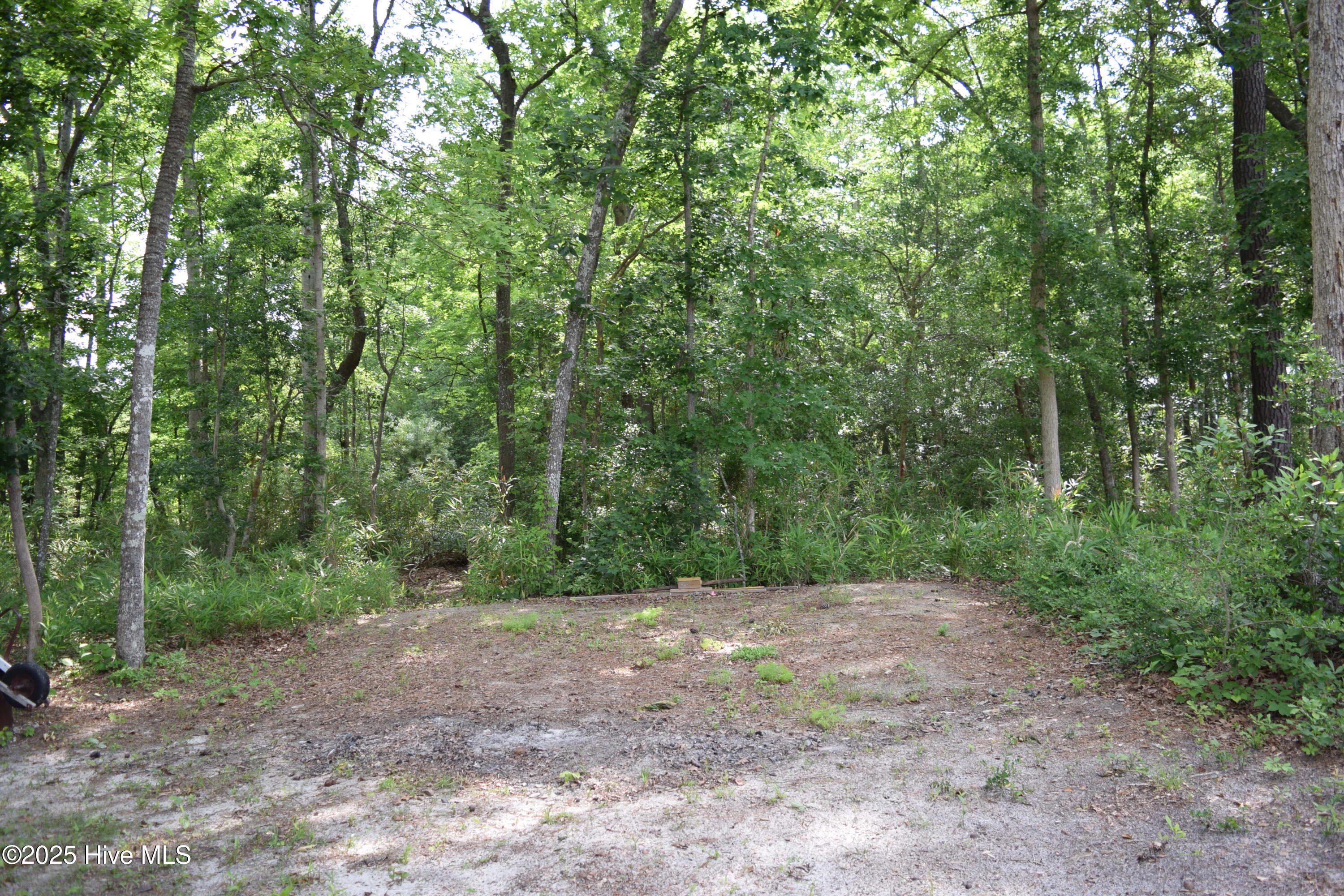 100548374 | Photo 22