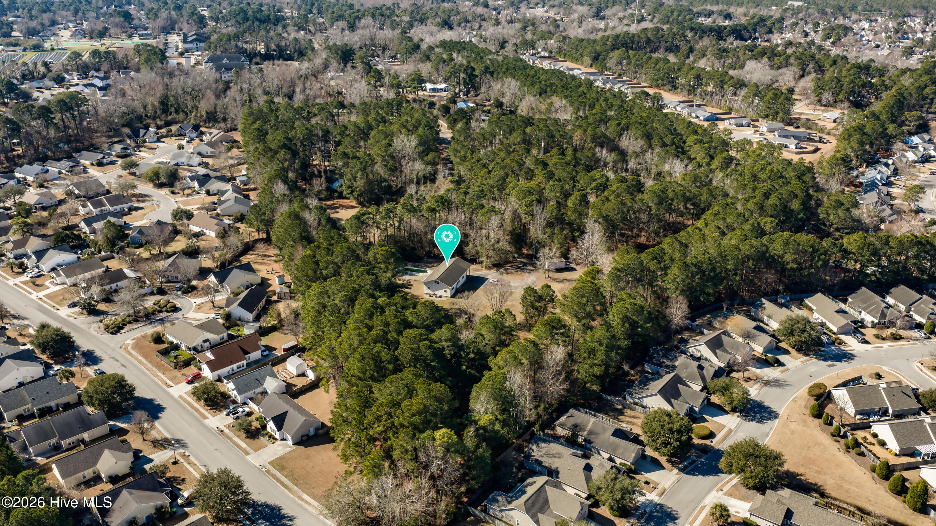 100498443 | Photo 18