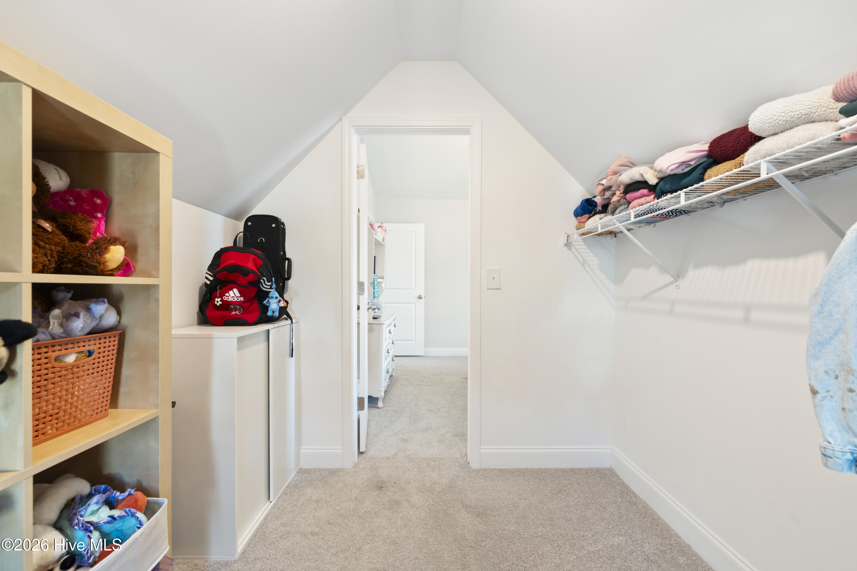 100564295 | Photo 51