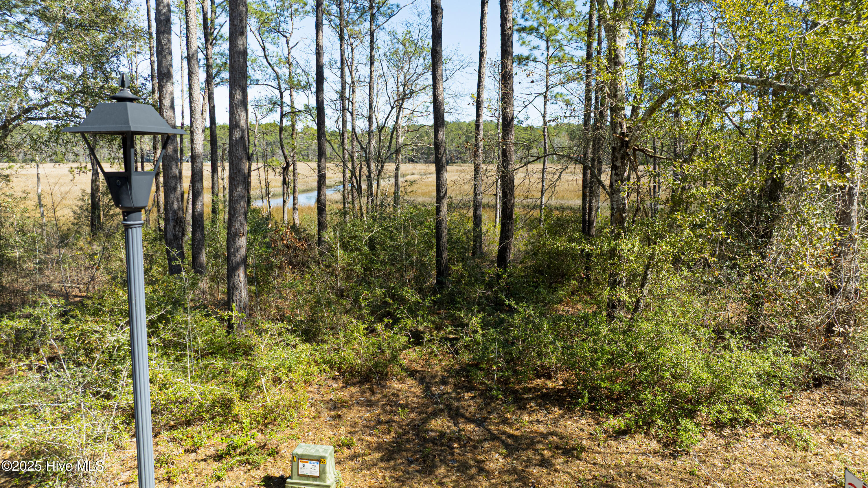 100543304 | Photo 10