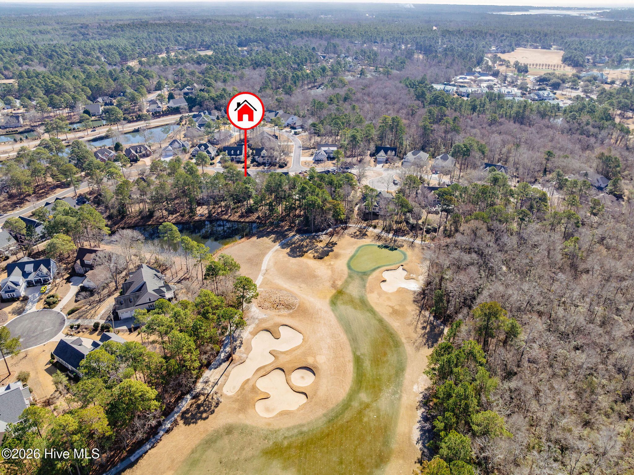 100557018 | Photo 60