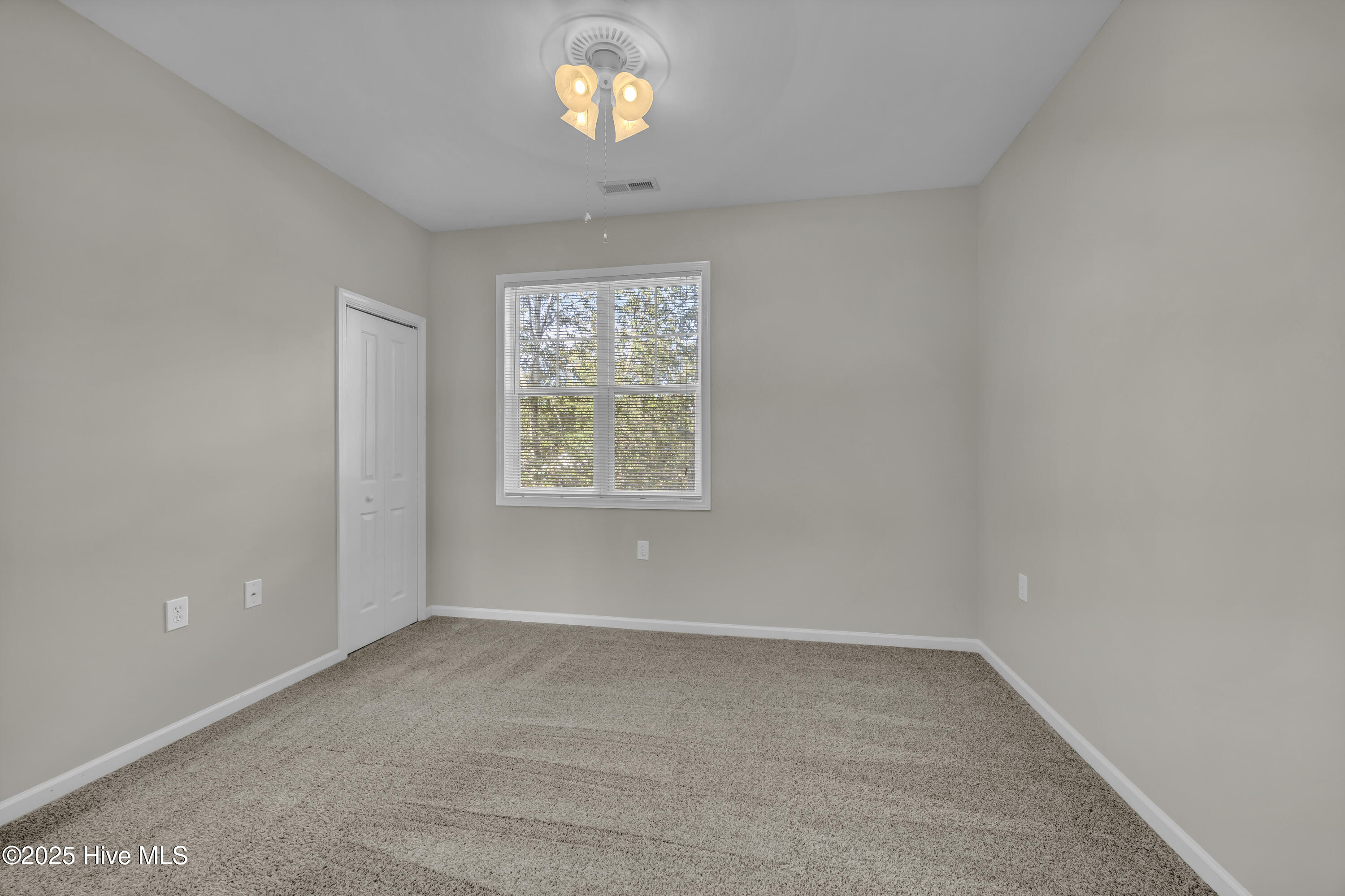 100538265 | Photo 13