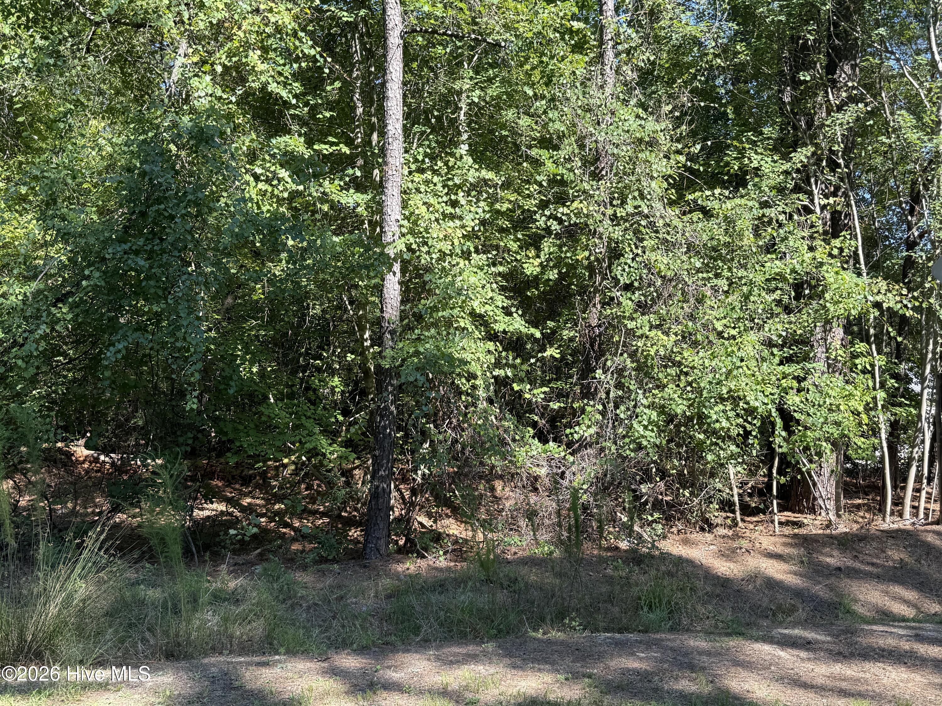 2nd image of 7657 Main St, West End, NC 27376 | MLS# 100598896