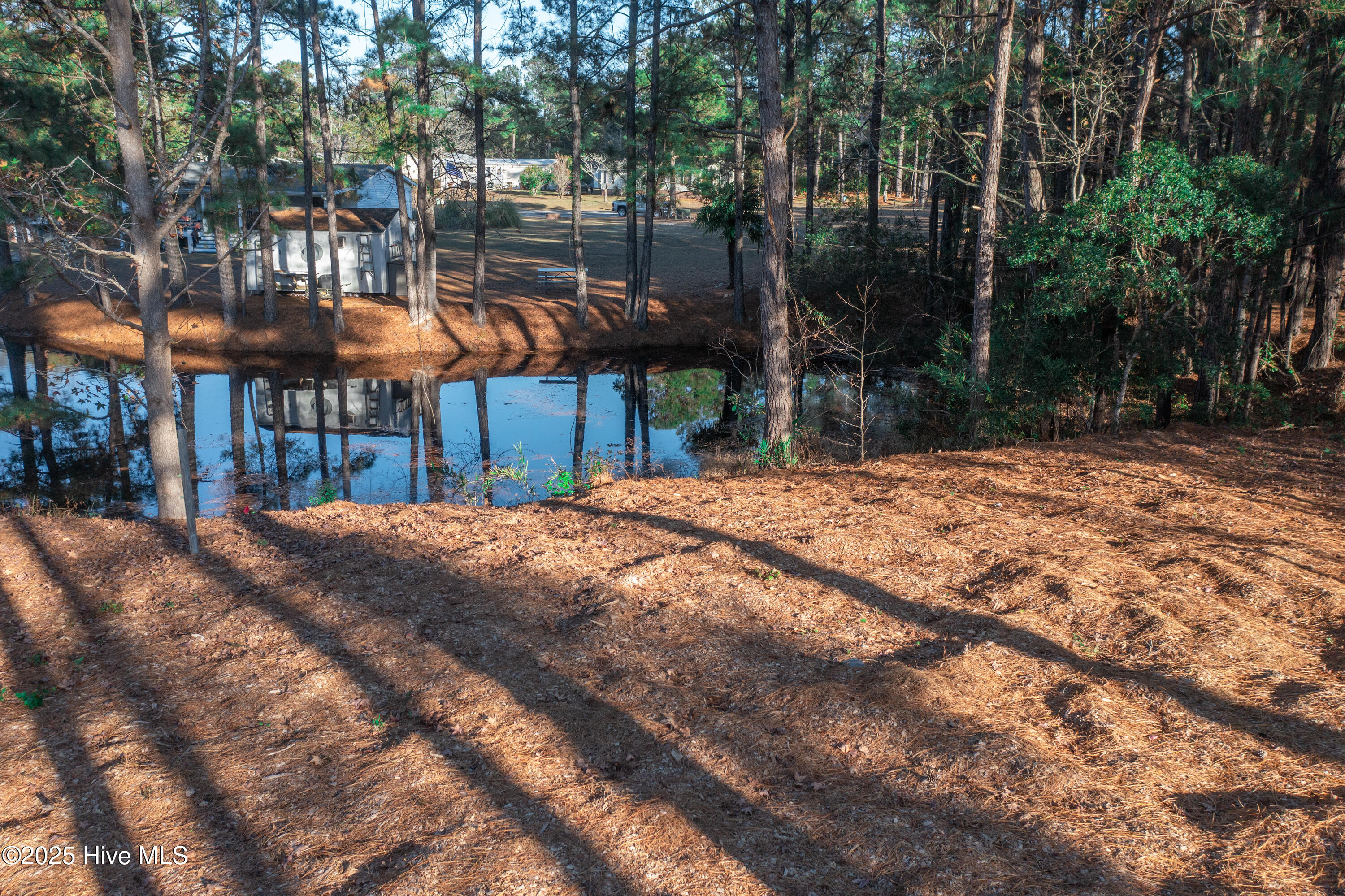 100543748 | Photo 17