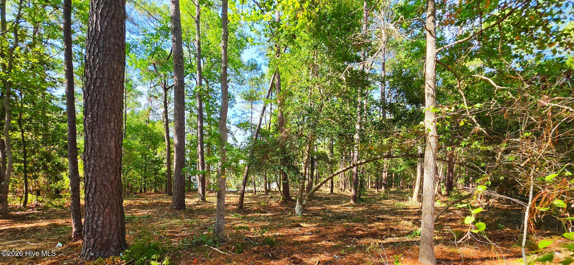Exterior photo of L-1 S-N L-1 S-N Palmer Drive, Shallotte, NC 28470. MLS: 100569765