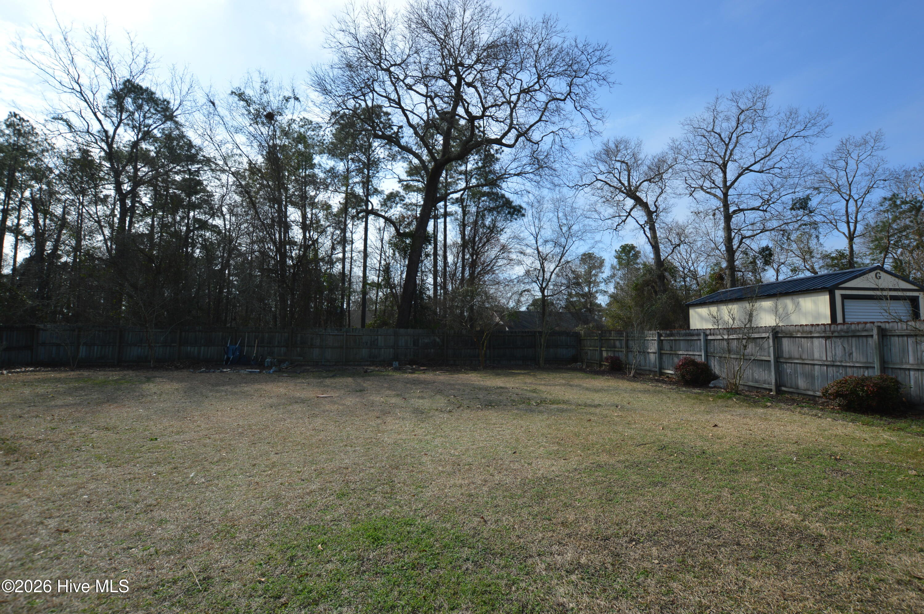 100557684 | Photo 23