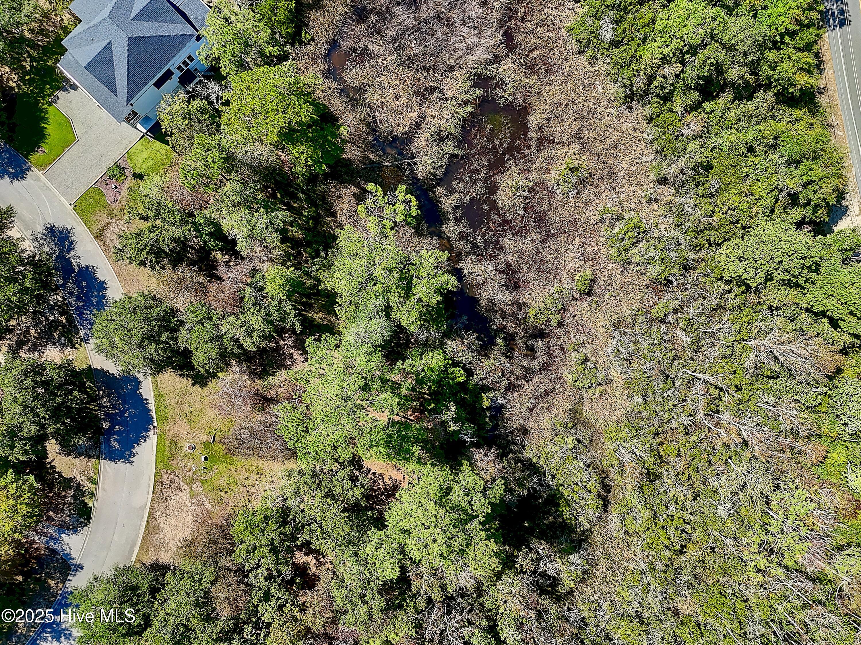 100533379 | Photo 15