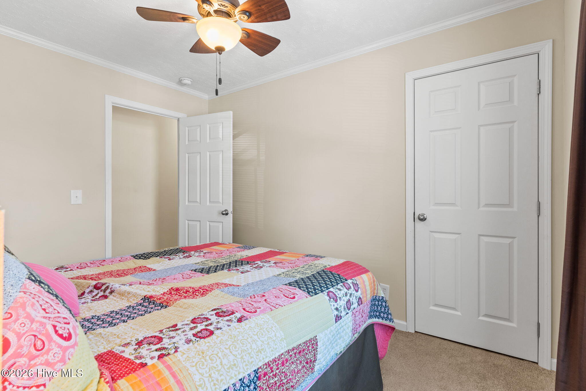 100567854 | Photo 12