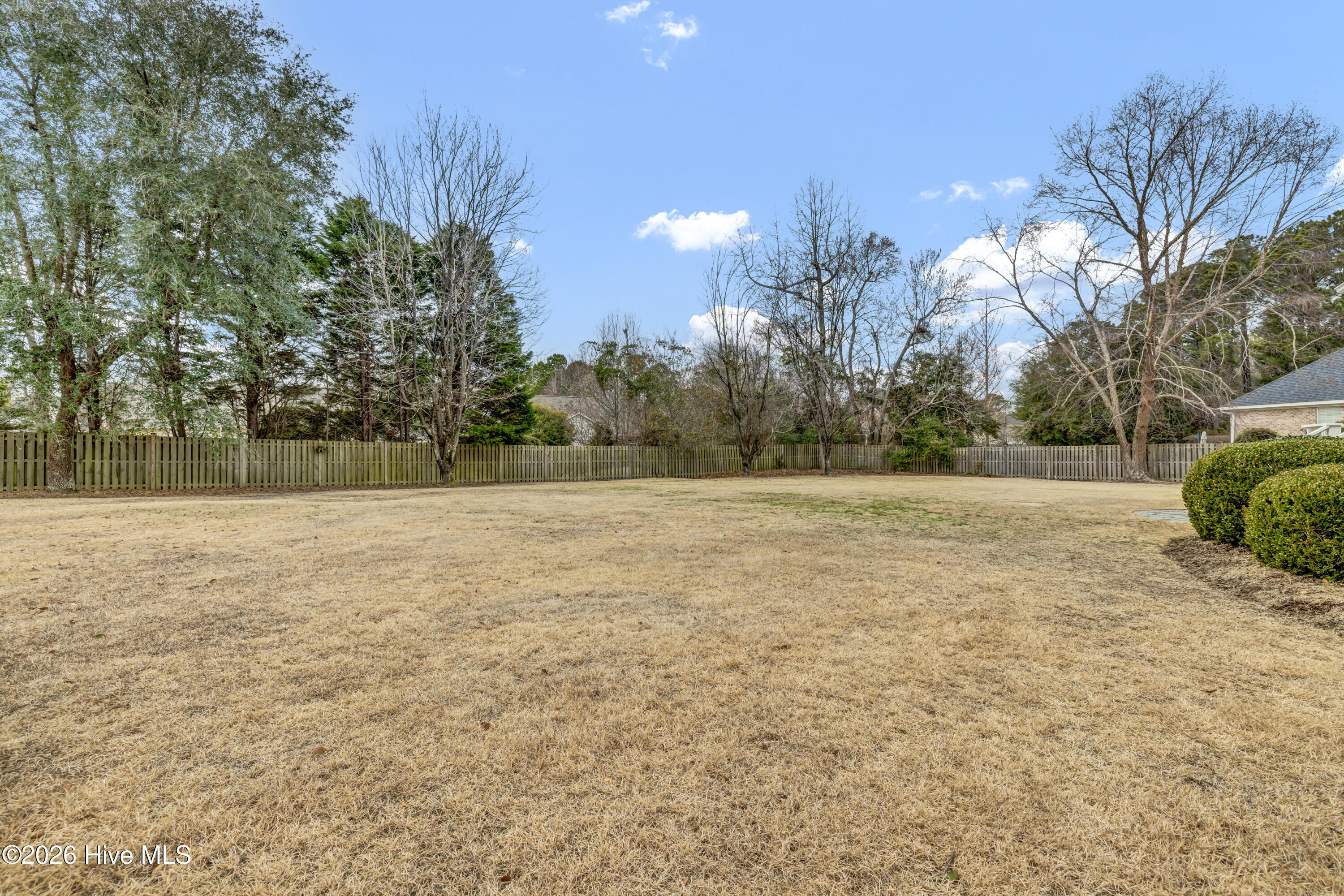 100555649 | Photo 42