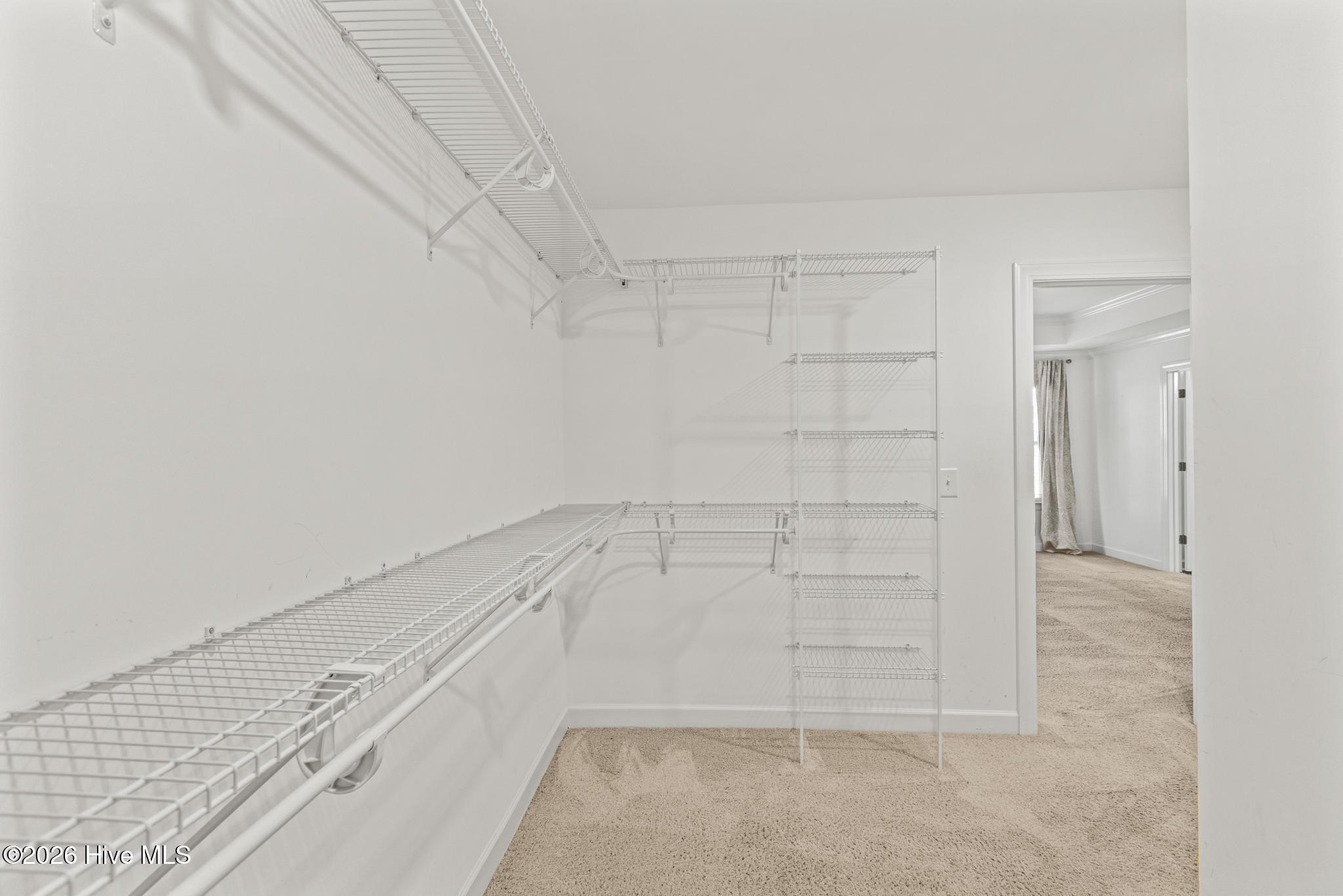 100554493 | Photo 44