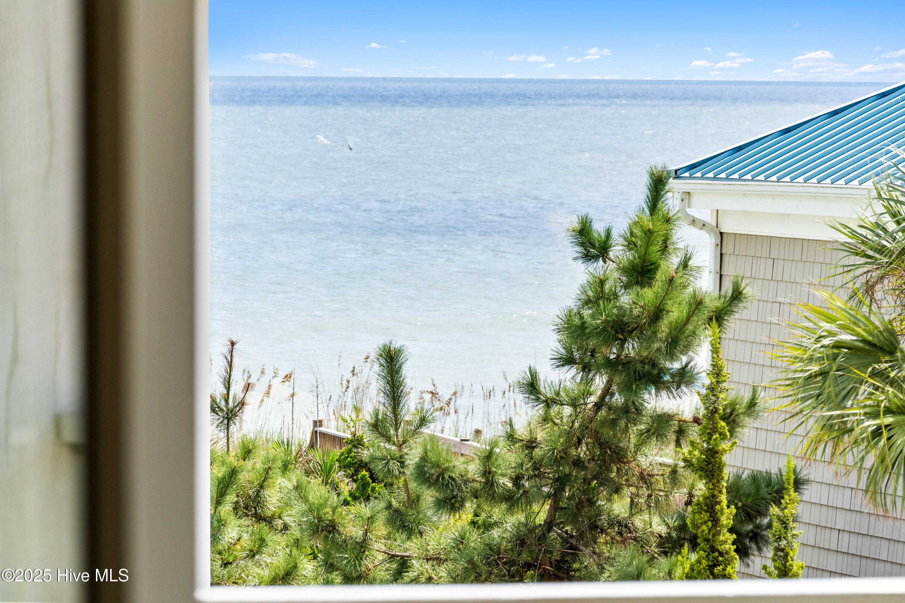 100530608 | Photo 41