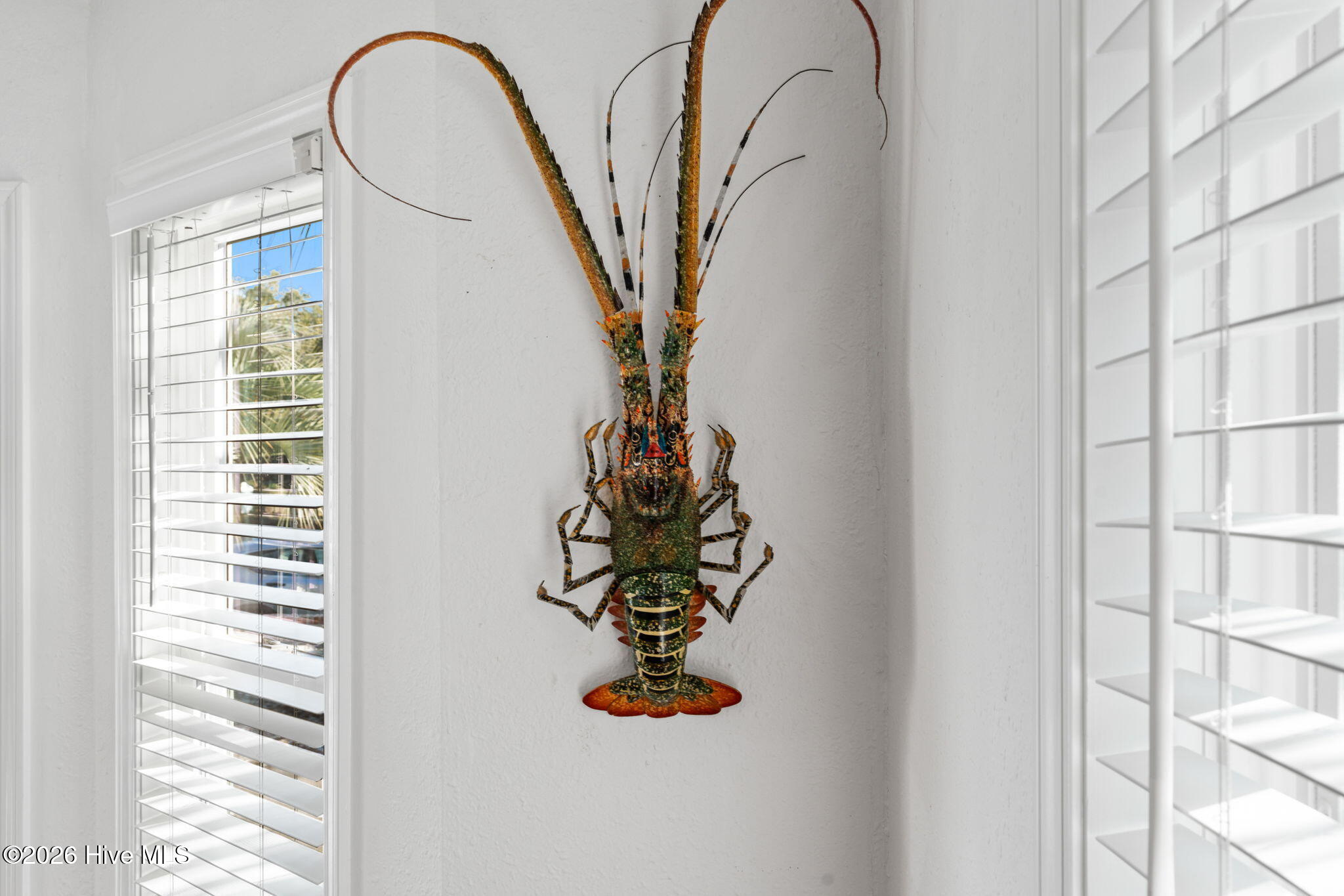 100548707 | Photo 15