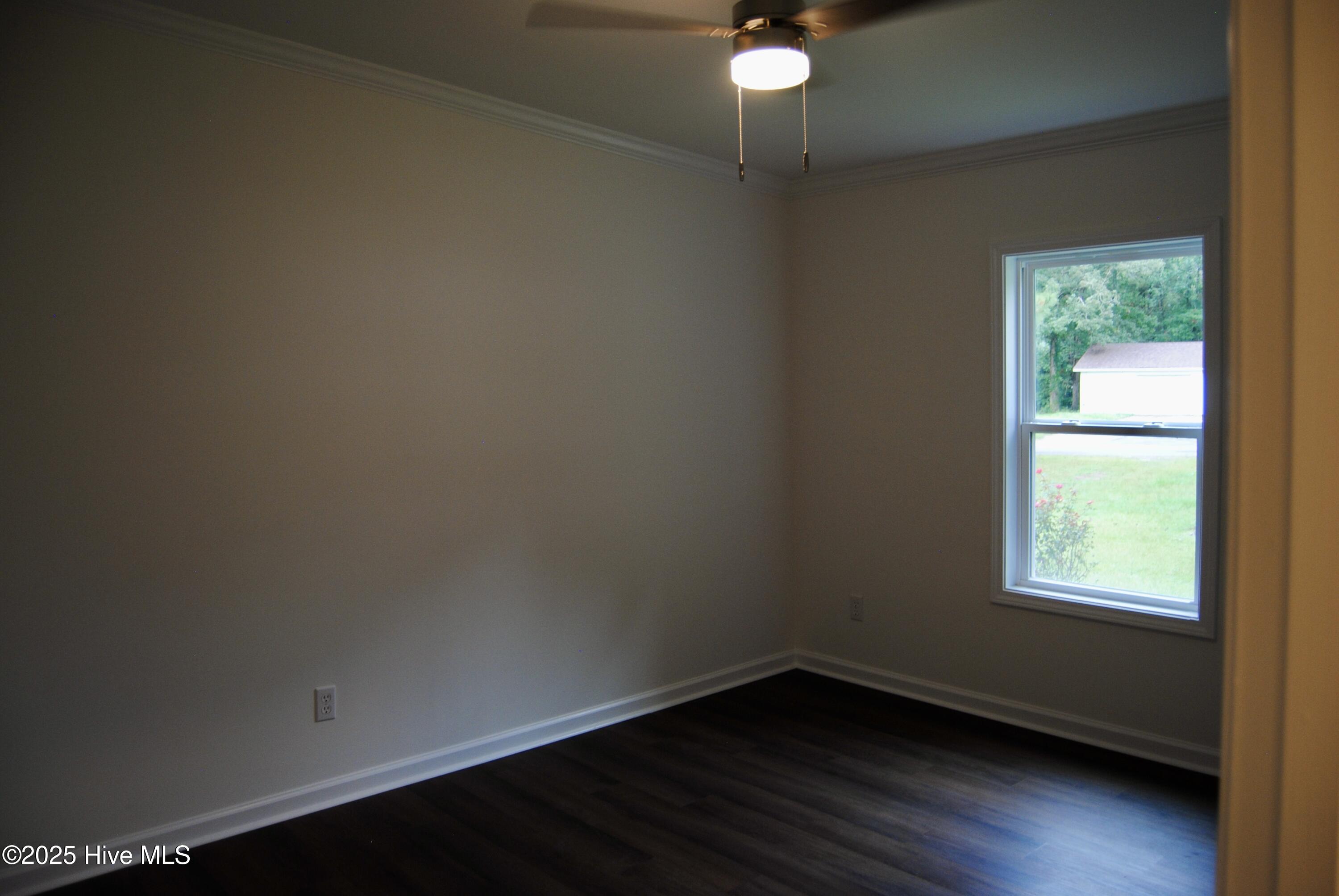 100533223 | Photo 49