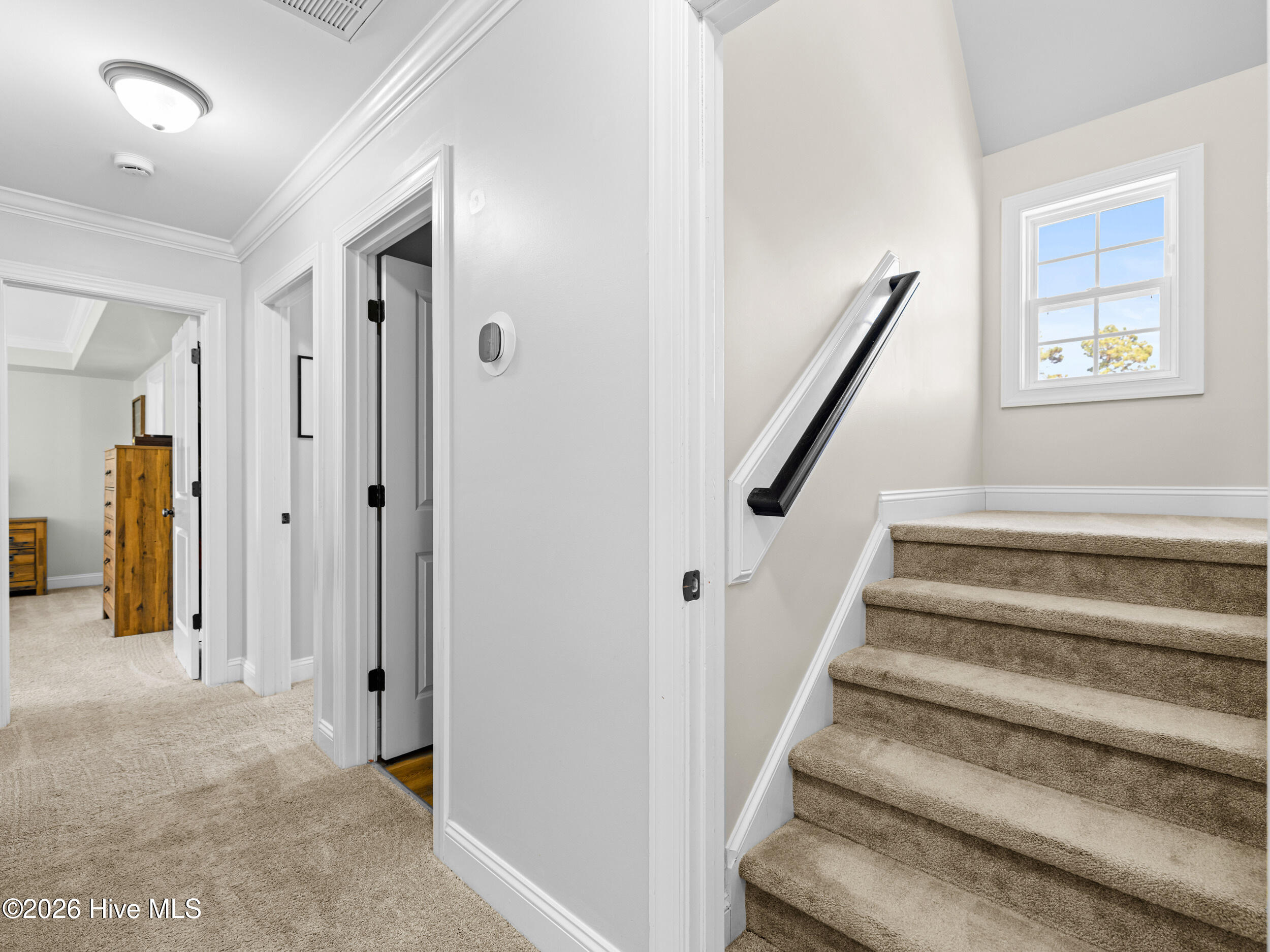 100566633 | Photo 59