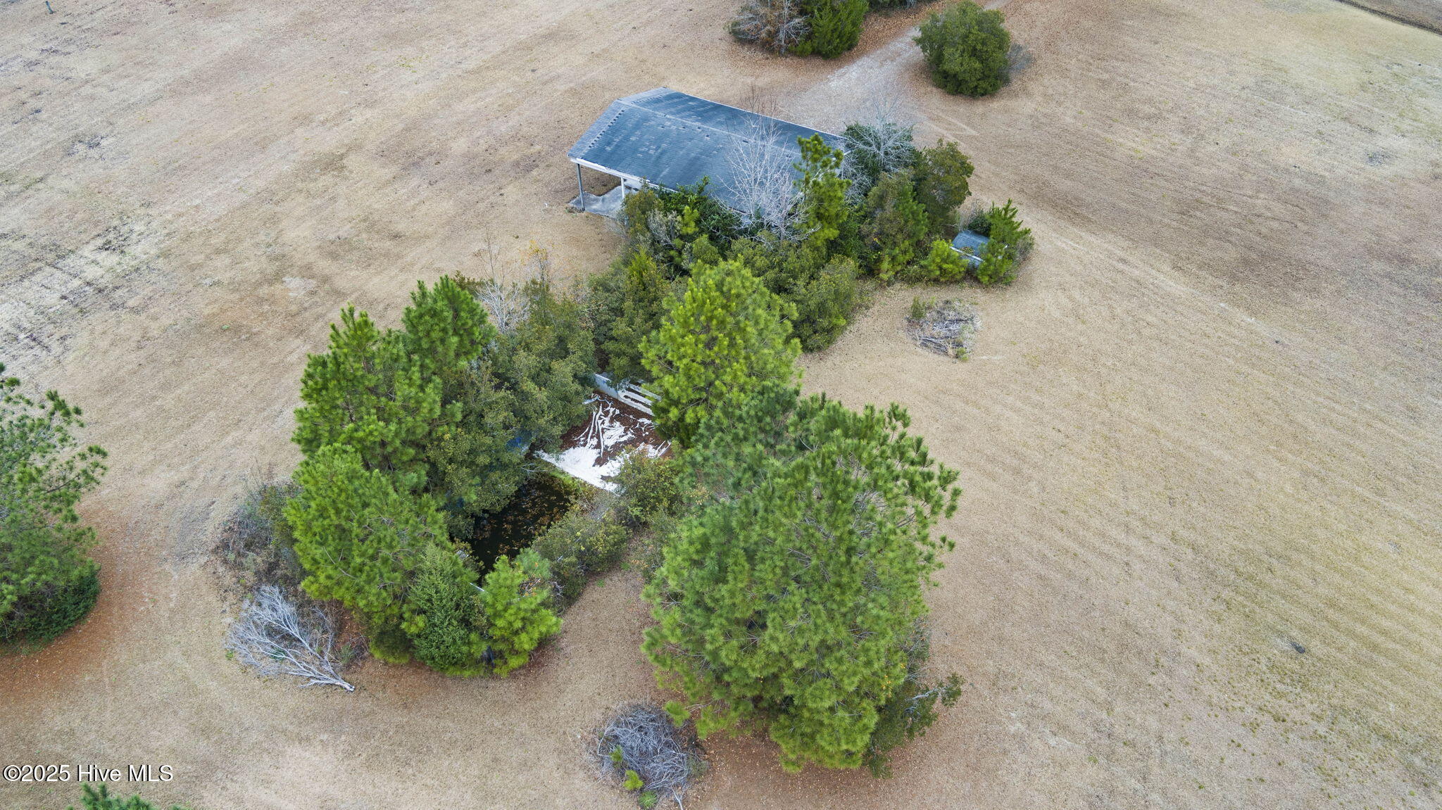 100546888 | Photo 19