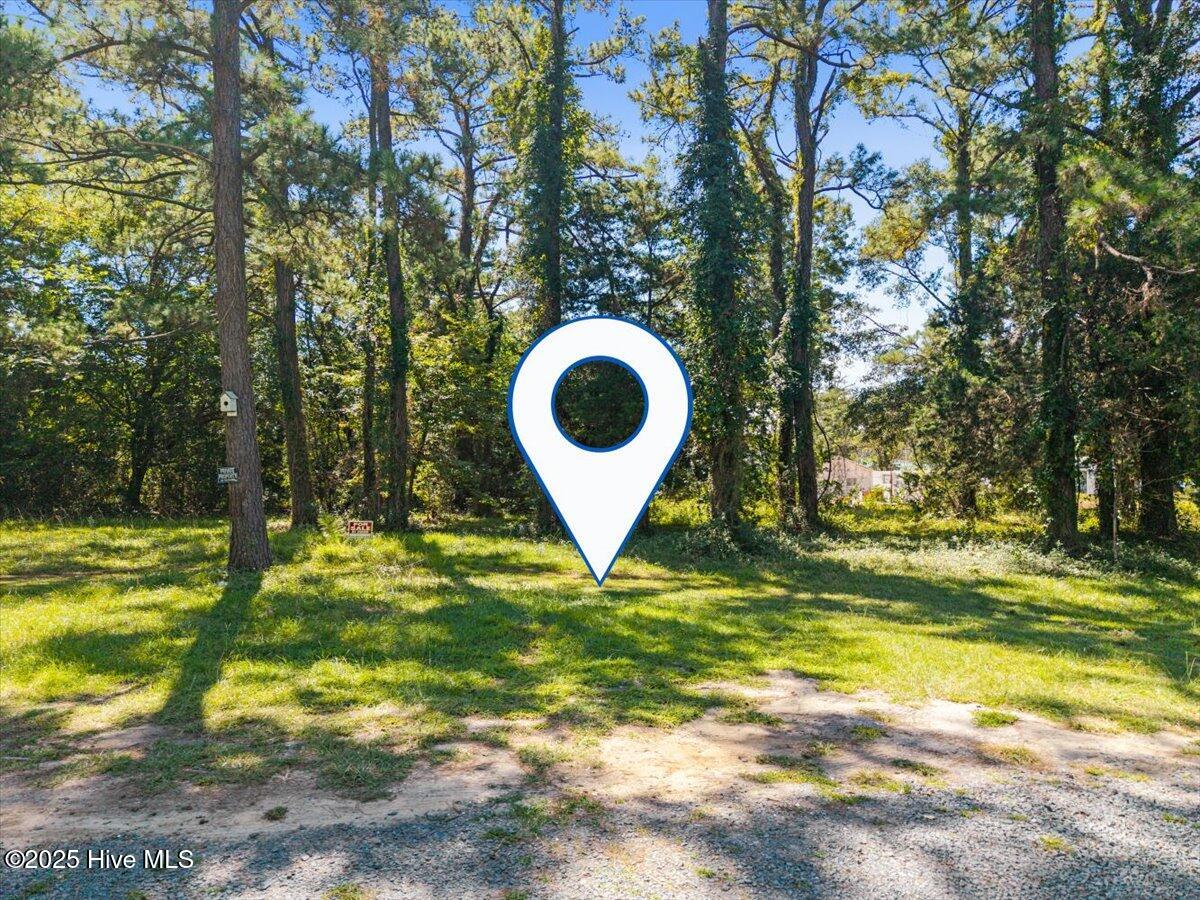 100538571 | Photo 18