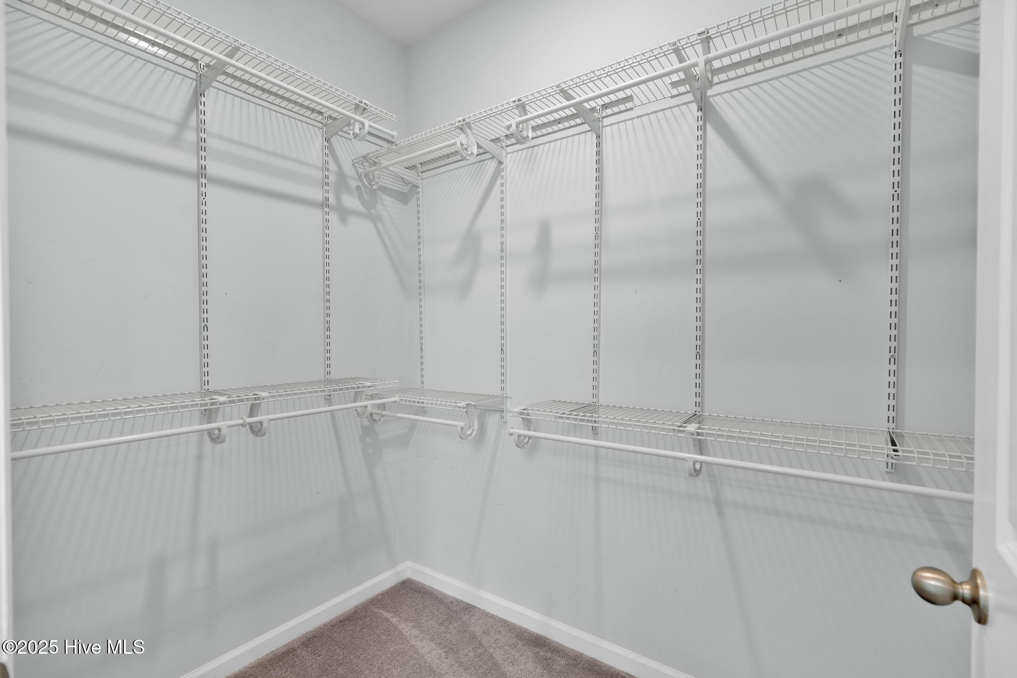 100542071 | Photo 17