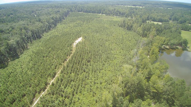 00 Augusta Highway, Dearing, GA 30808 Listing Photo  14