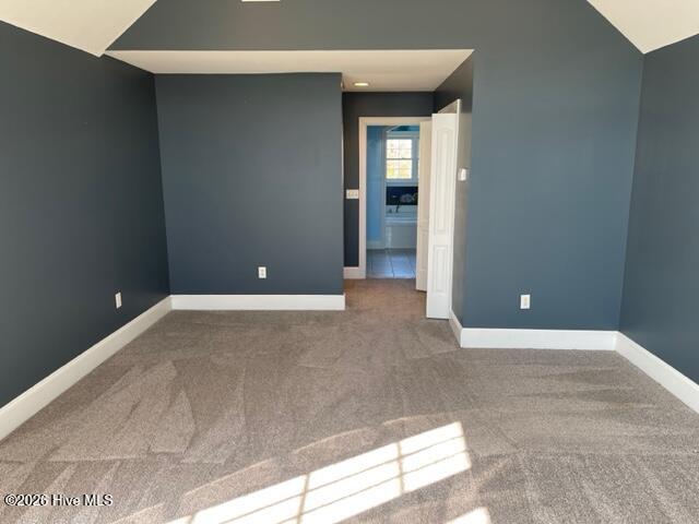 100561864 | Photo 16