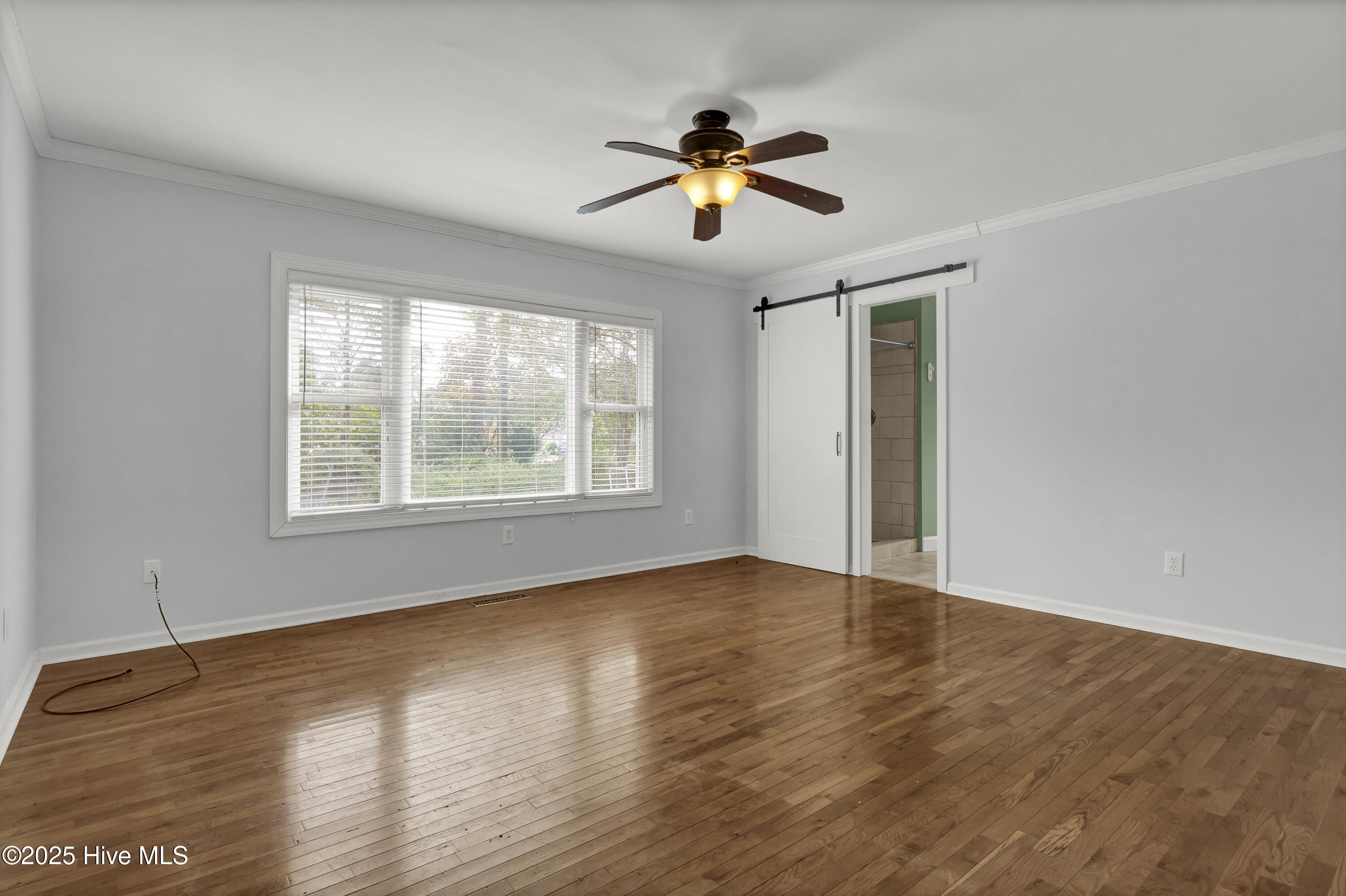 100546106 | Photo 14