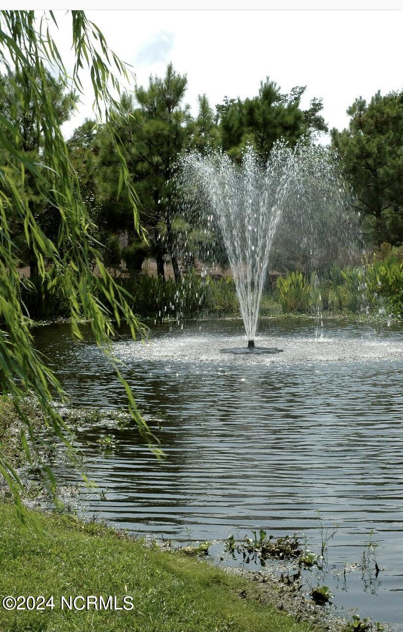 100463801 | Photo 31