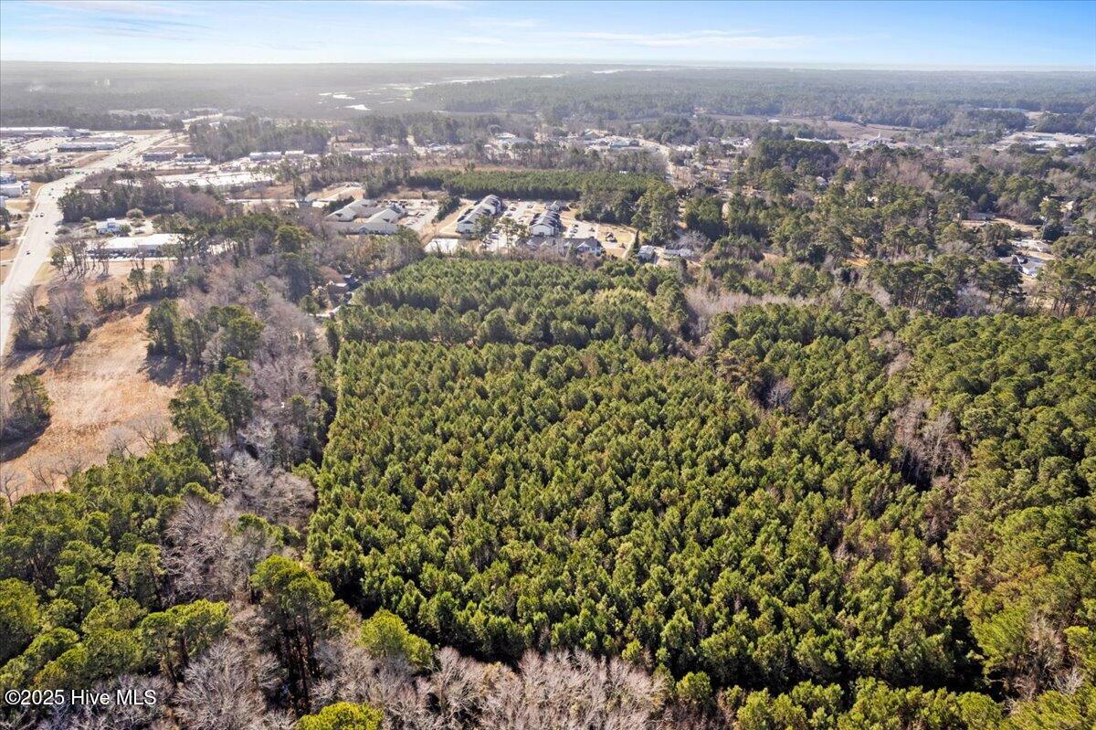 100488410 | Photo 18