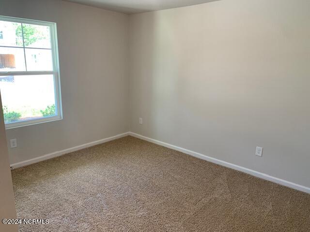 100519231 | Photo 16