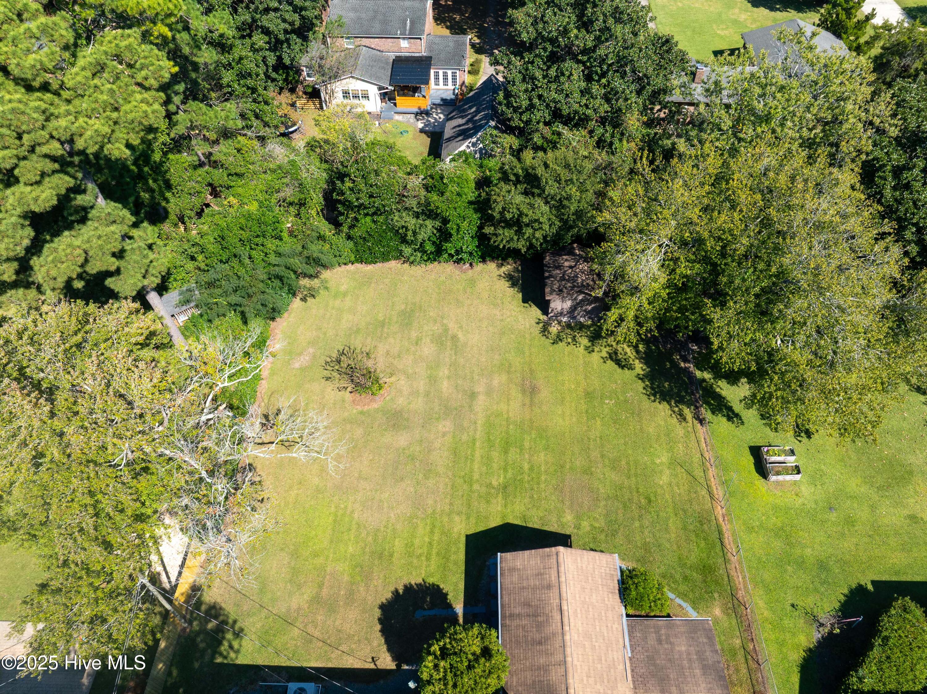 100536869 | Photo 39