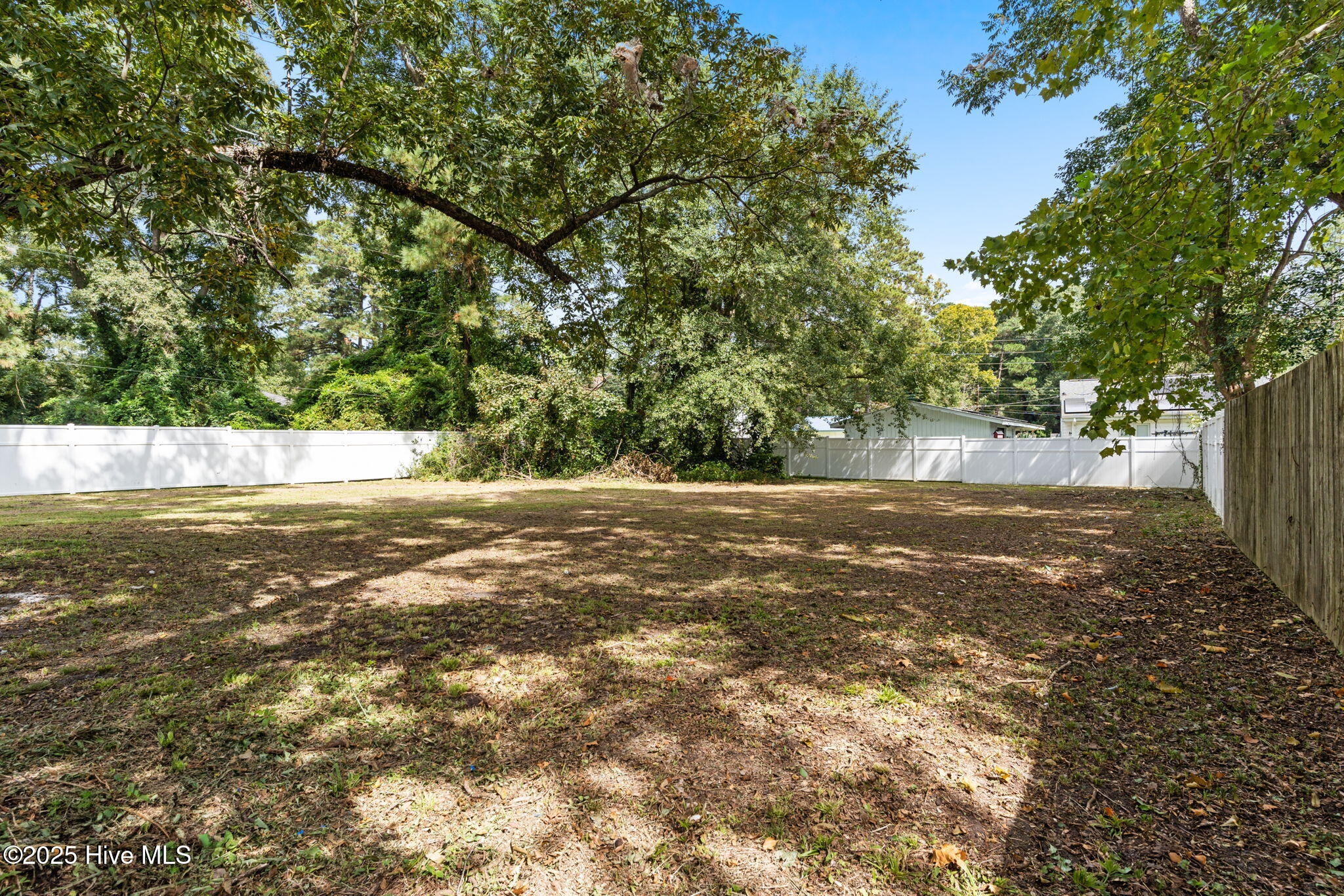 100533933 | Photo 48