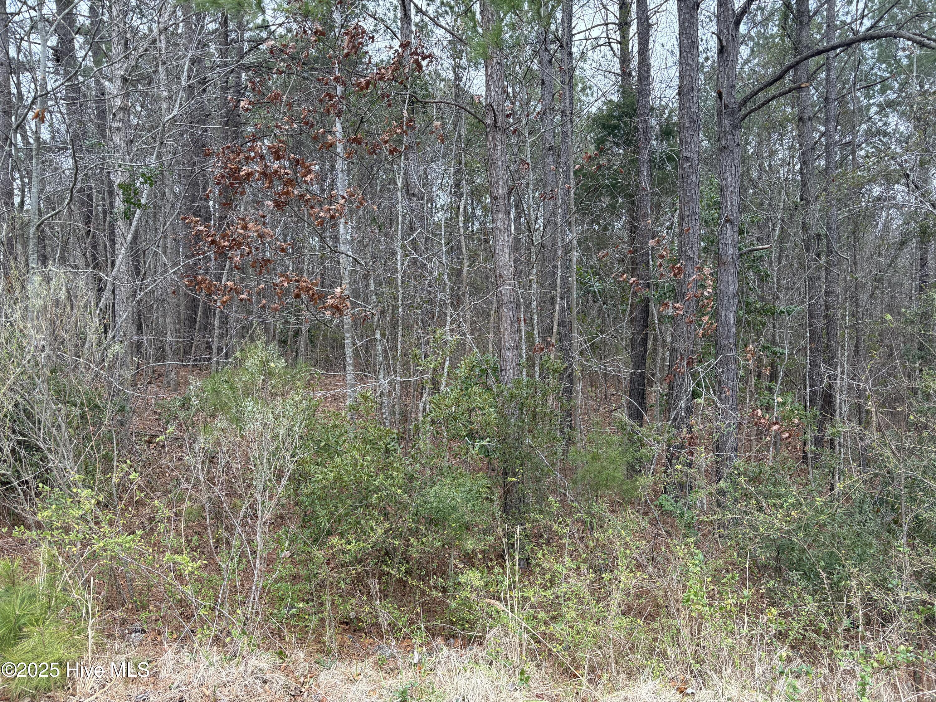 211 Green Trees 