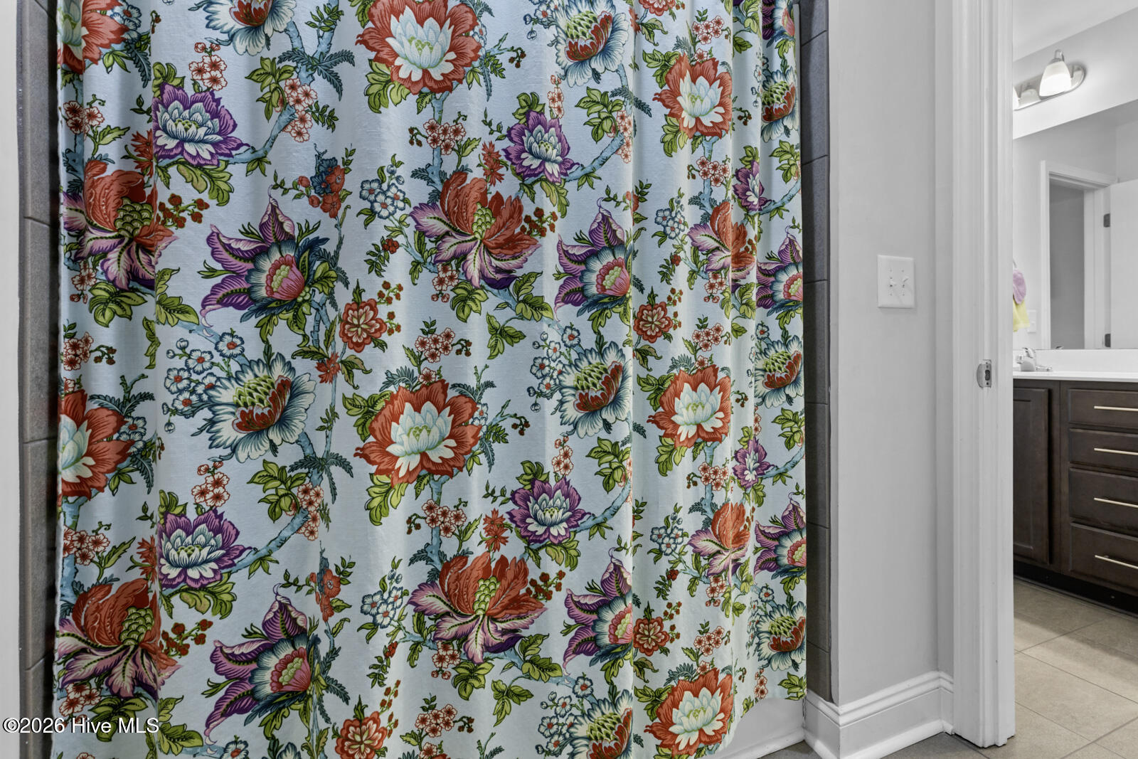 100565917 | Photo 46