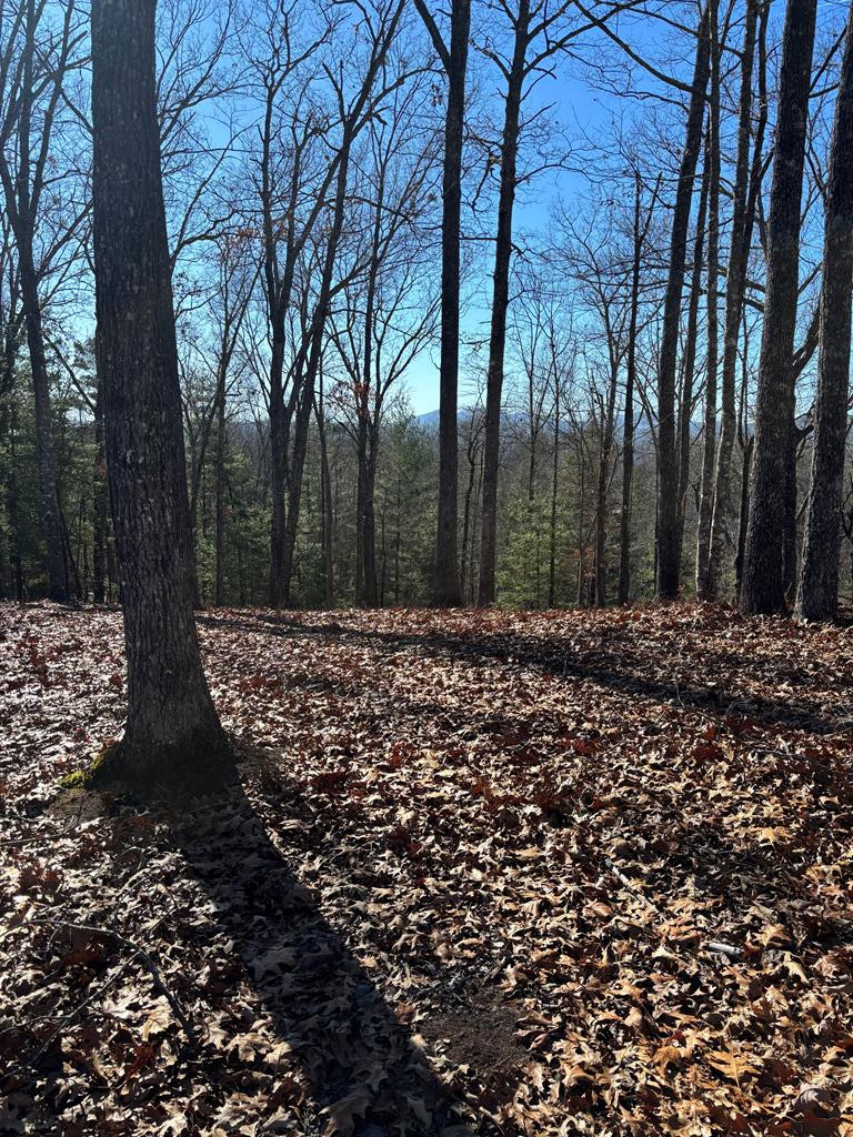 Listing Photo 98500175