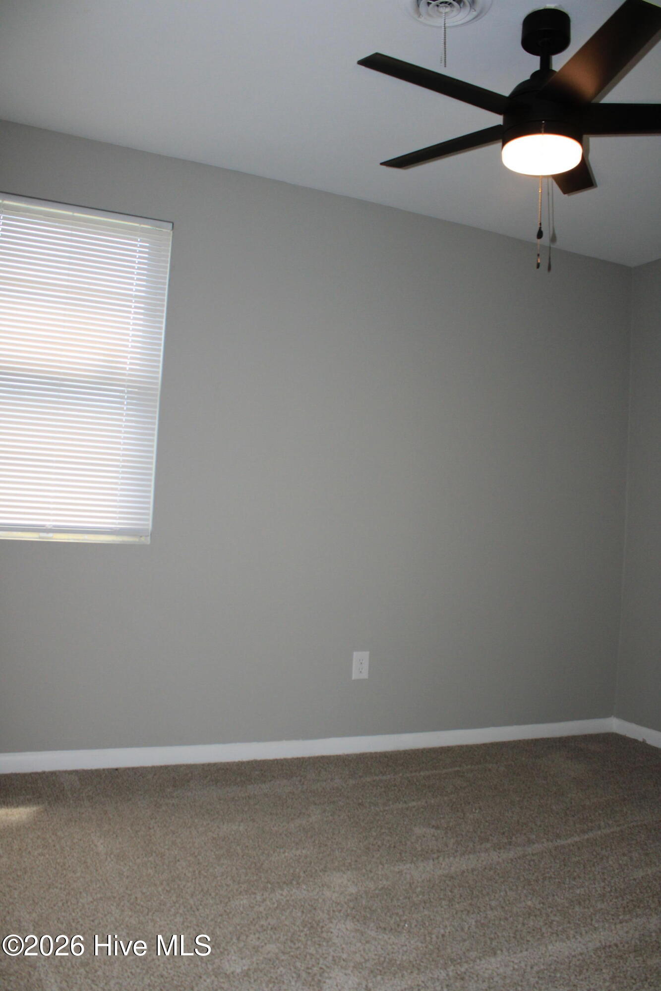 New Carpet