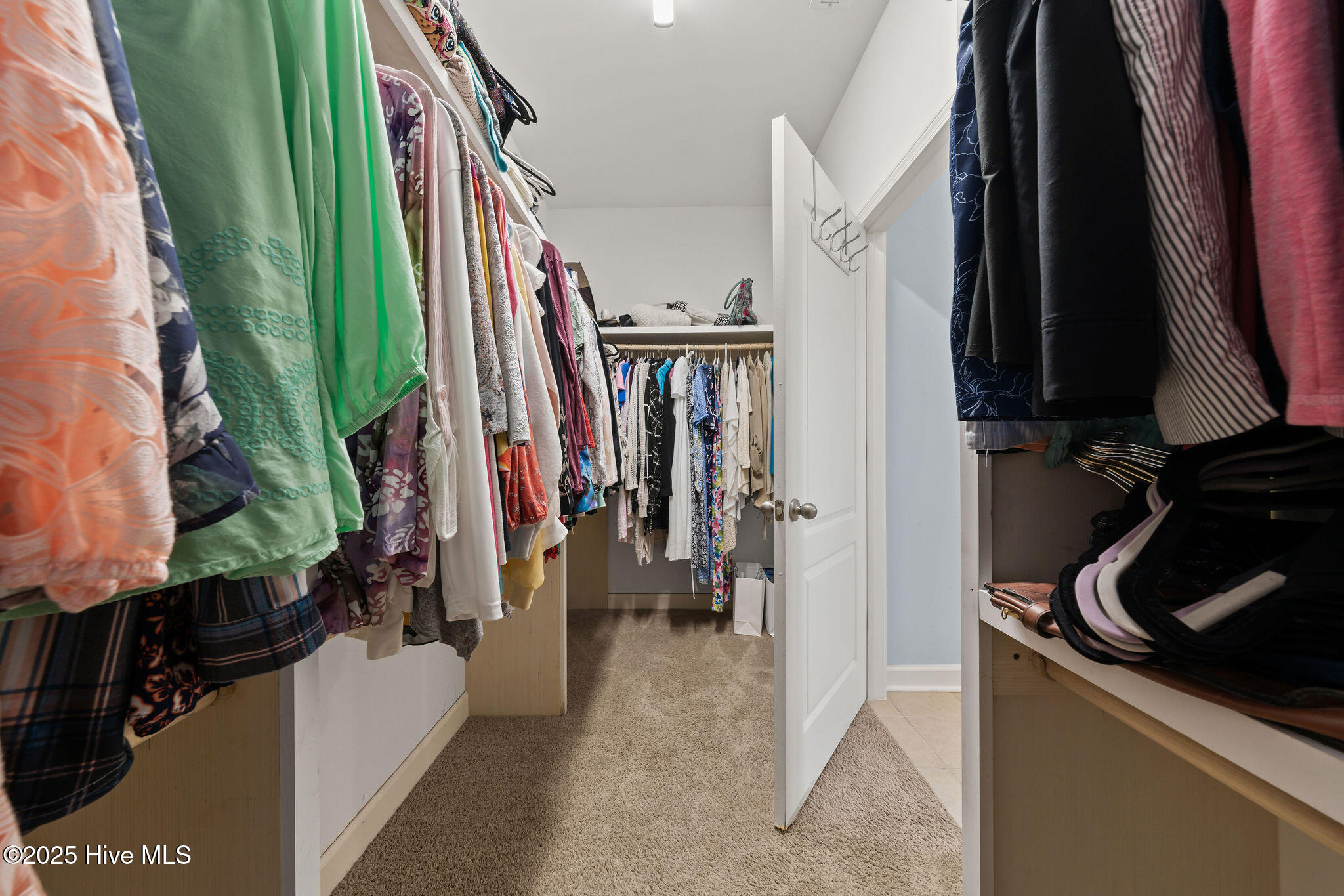 100513961 | Photo 27