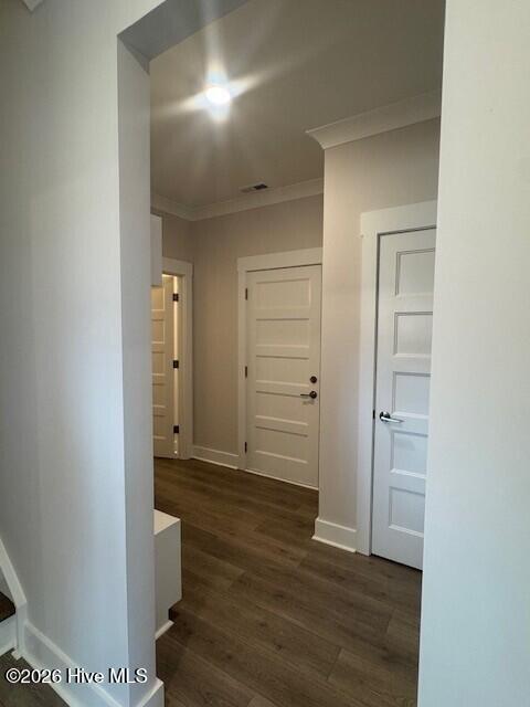 100520395 | Photo 28