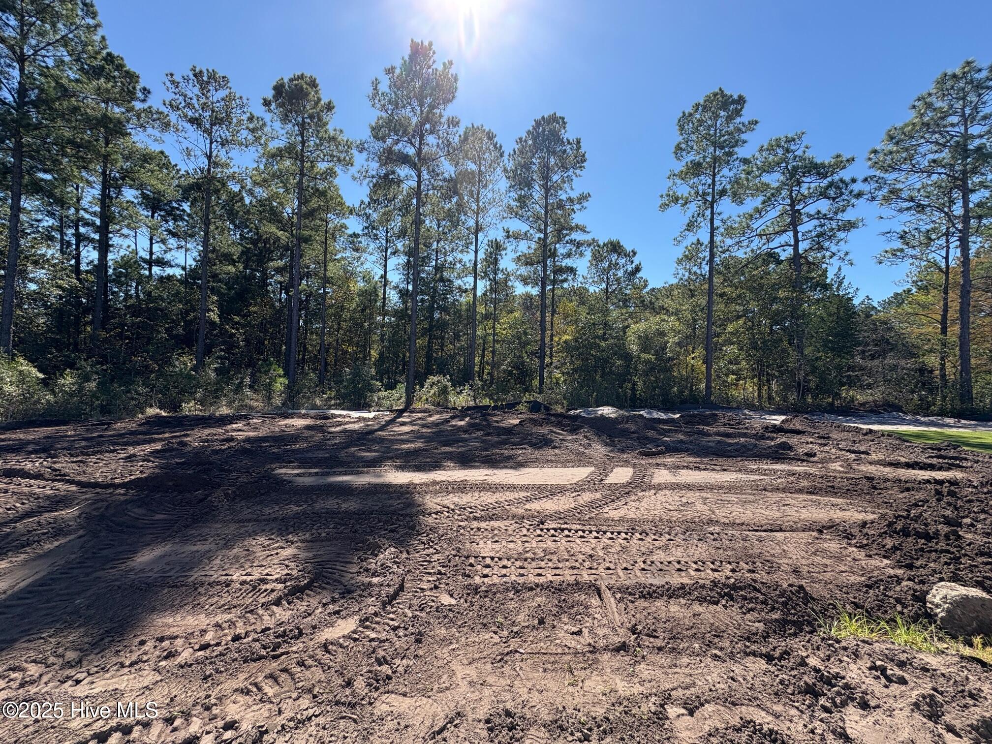 100542771 | Photo 18