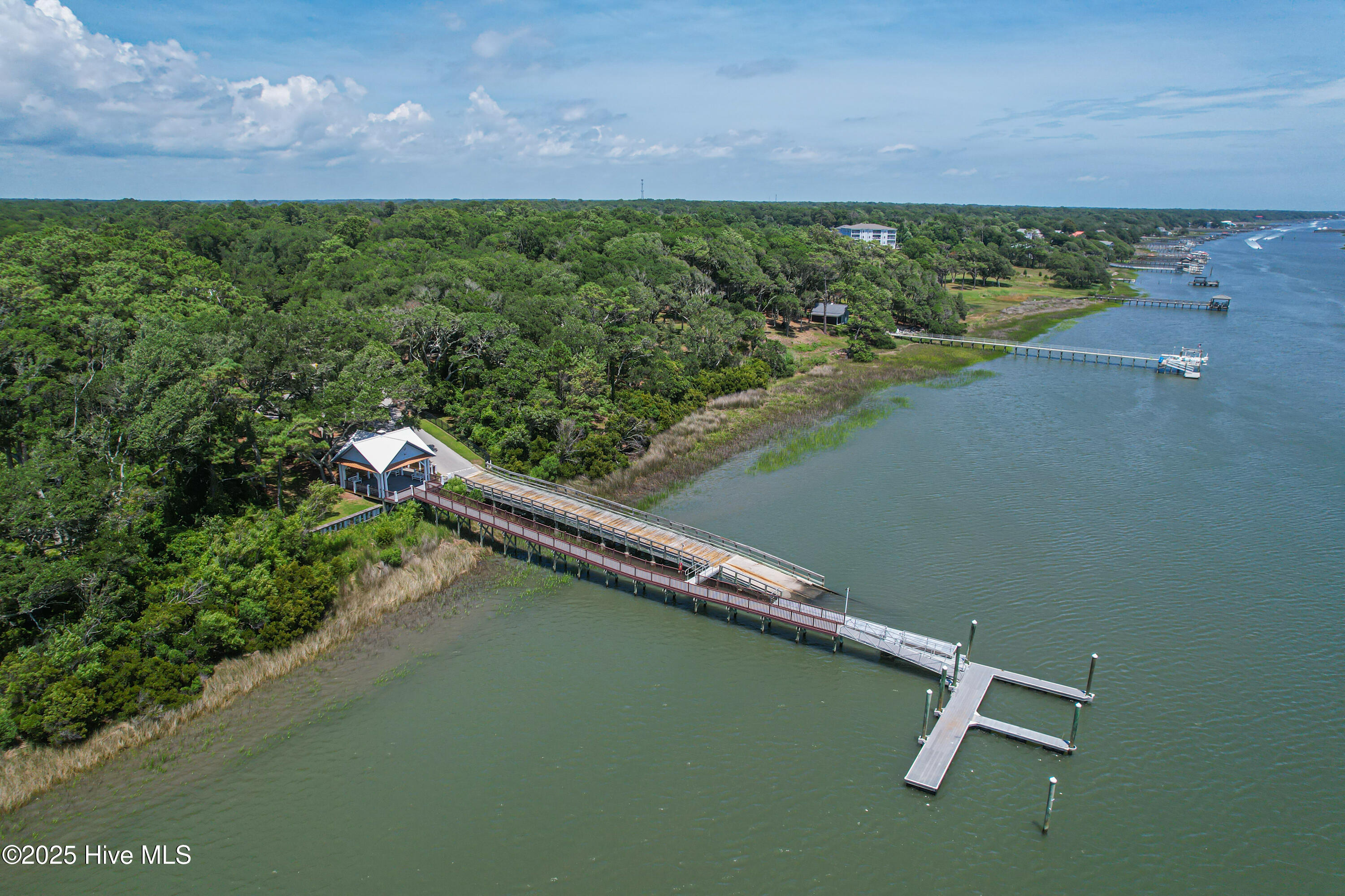 100553123 | Photo 13