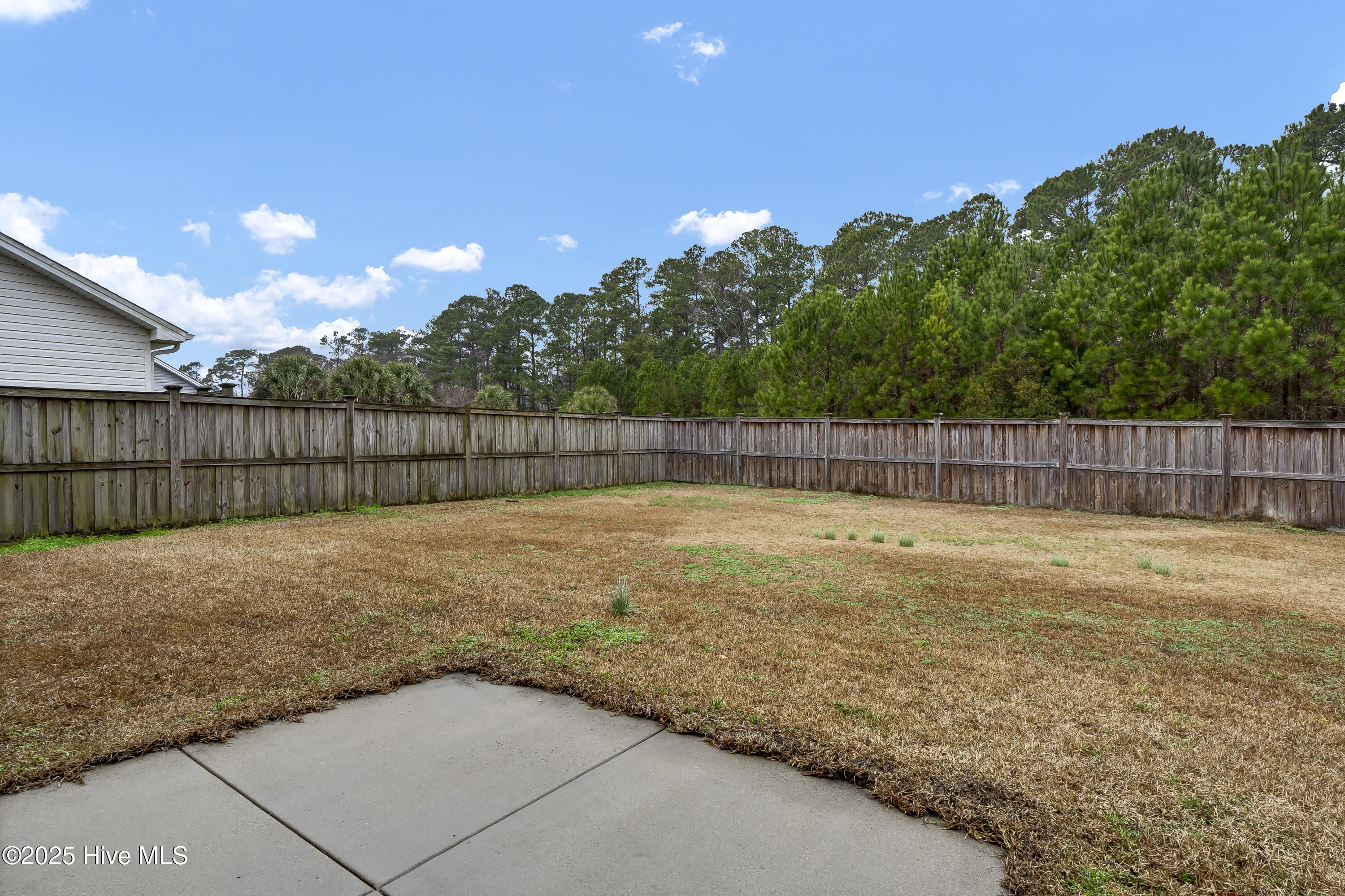 100488787 | Photo 27