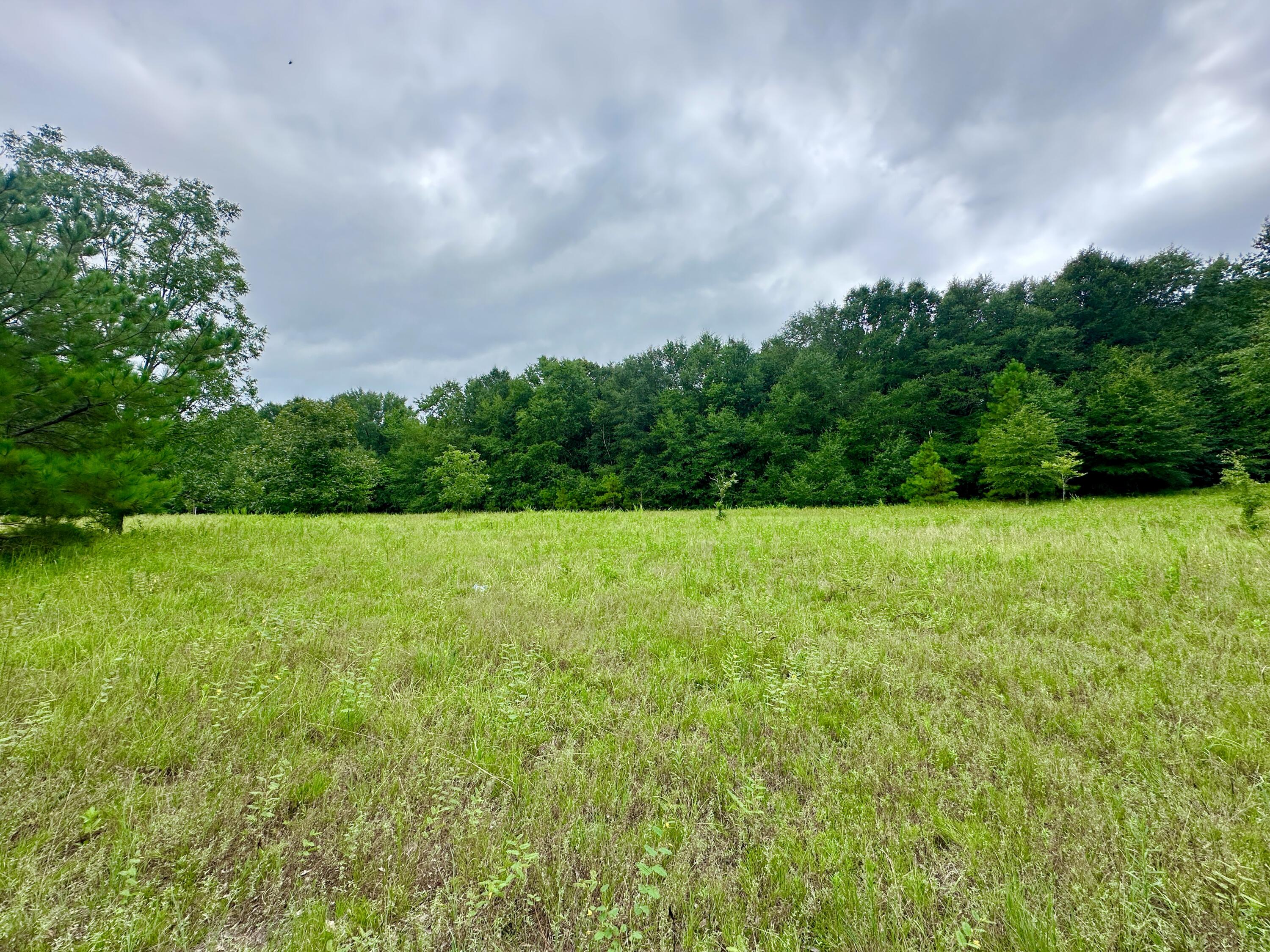 Homes for sale in Waynesboro, GA | 0 S 23 Hwy, Waynesboro, GA 30830 | MLS# 545885