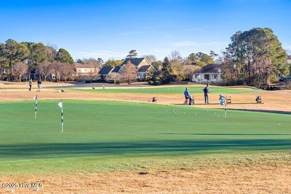 100534013 | Photo 53