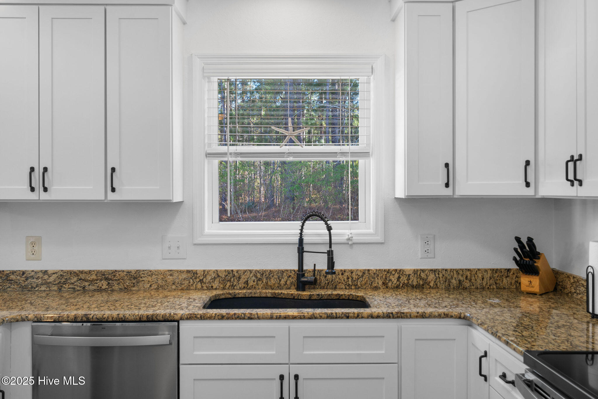 100541401 | Photo 23